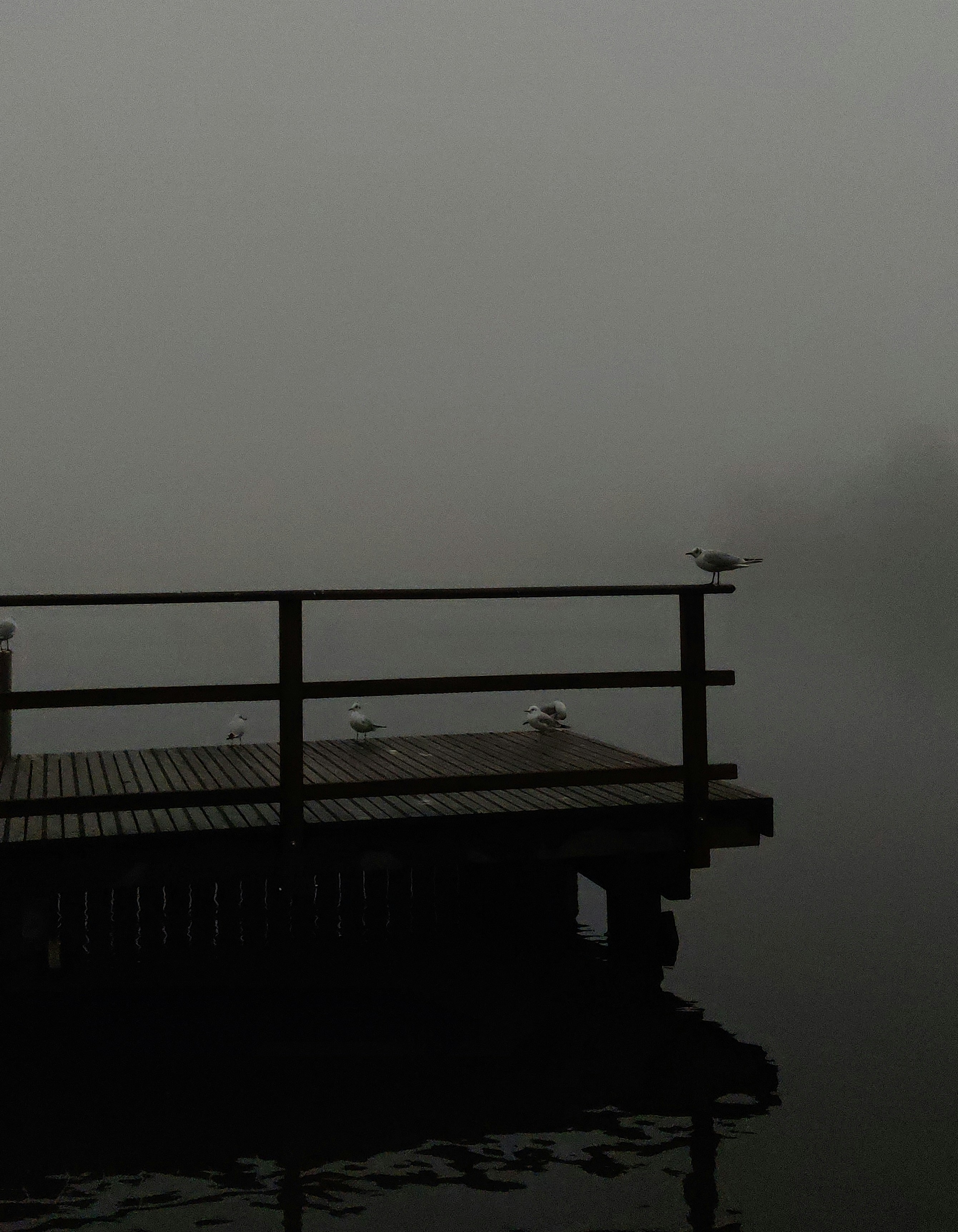 Photo by hugothephotographer