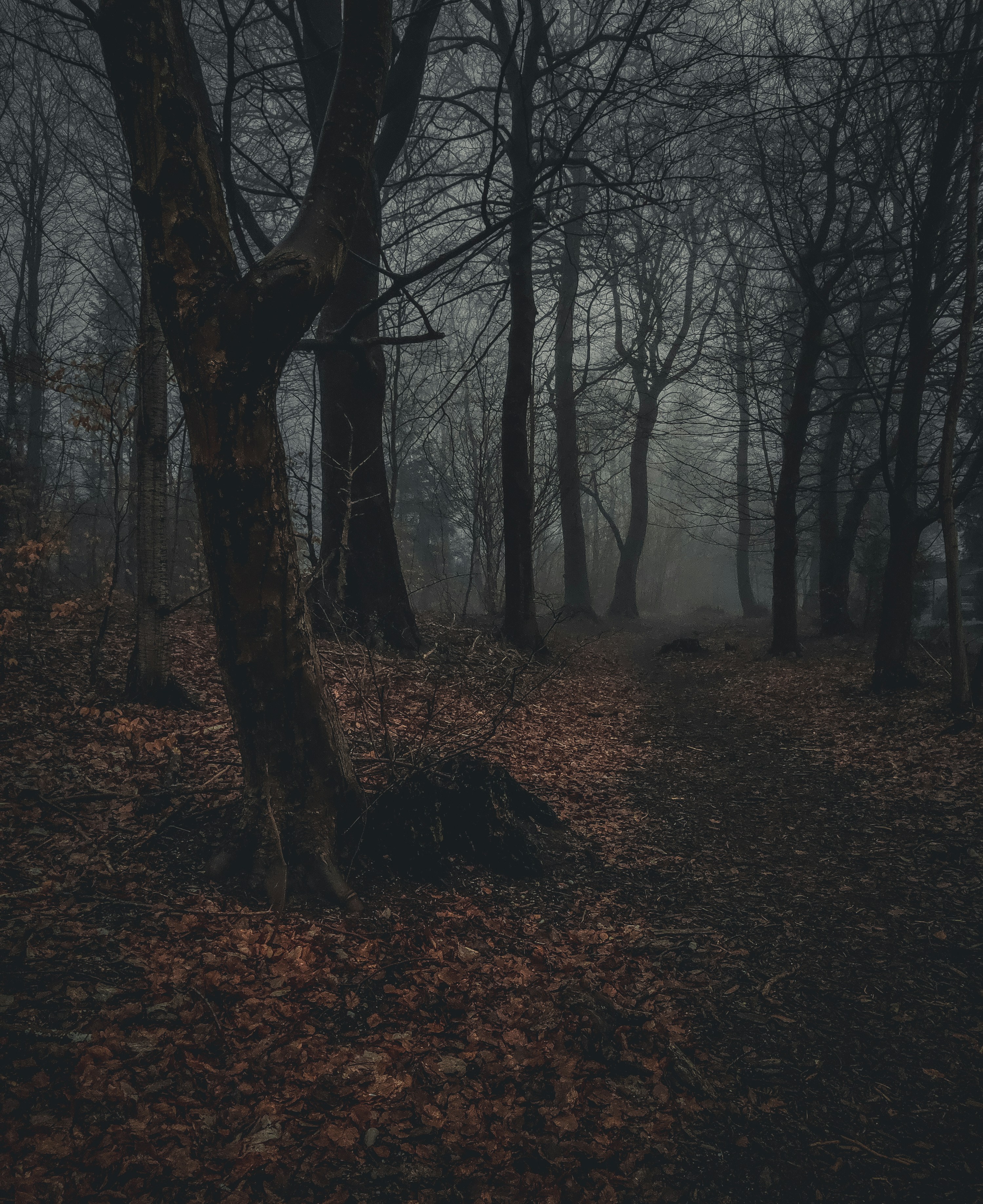 Photo by hugothephotographer