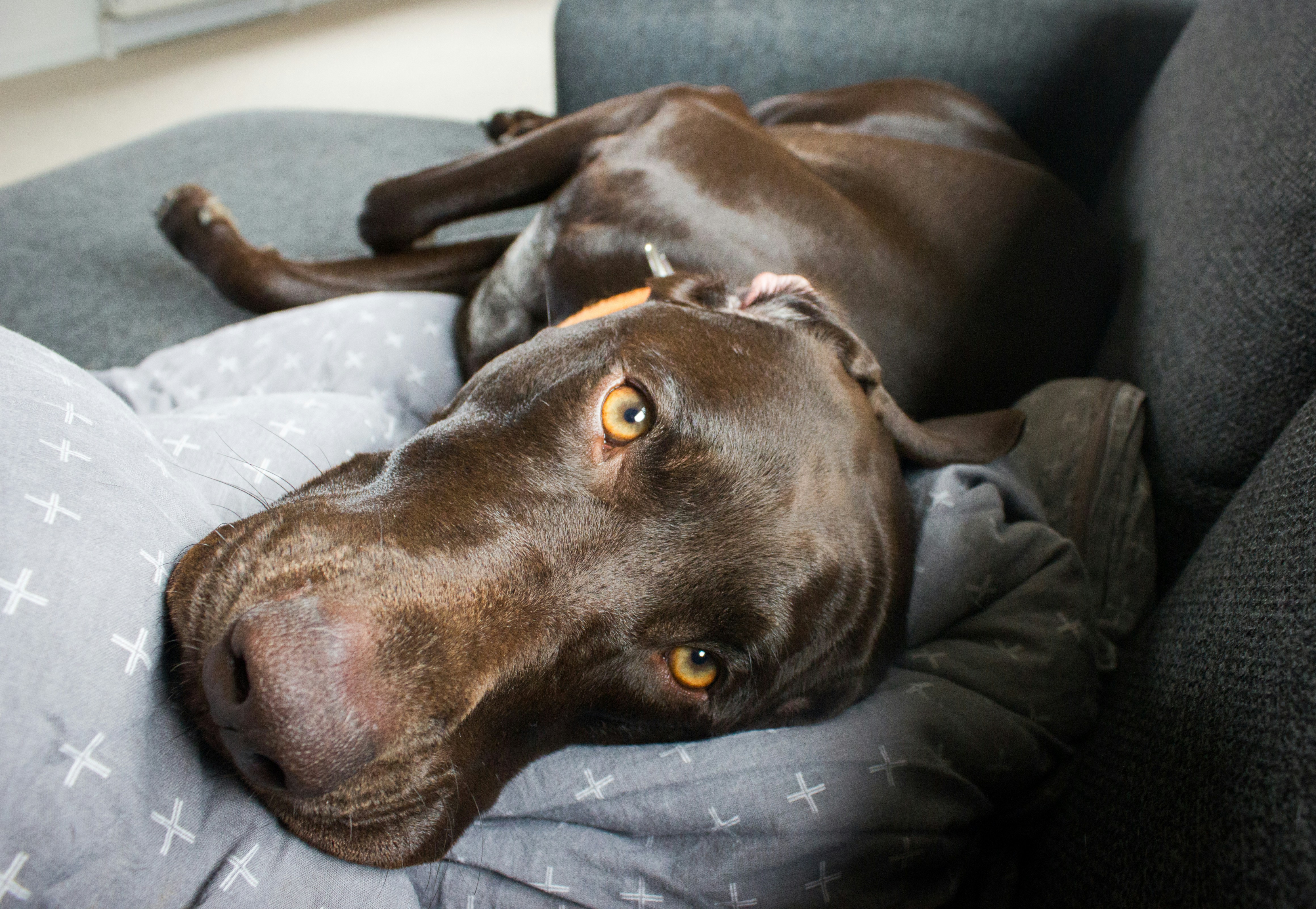 Photo by hugothephotographer