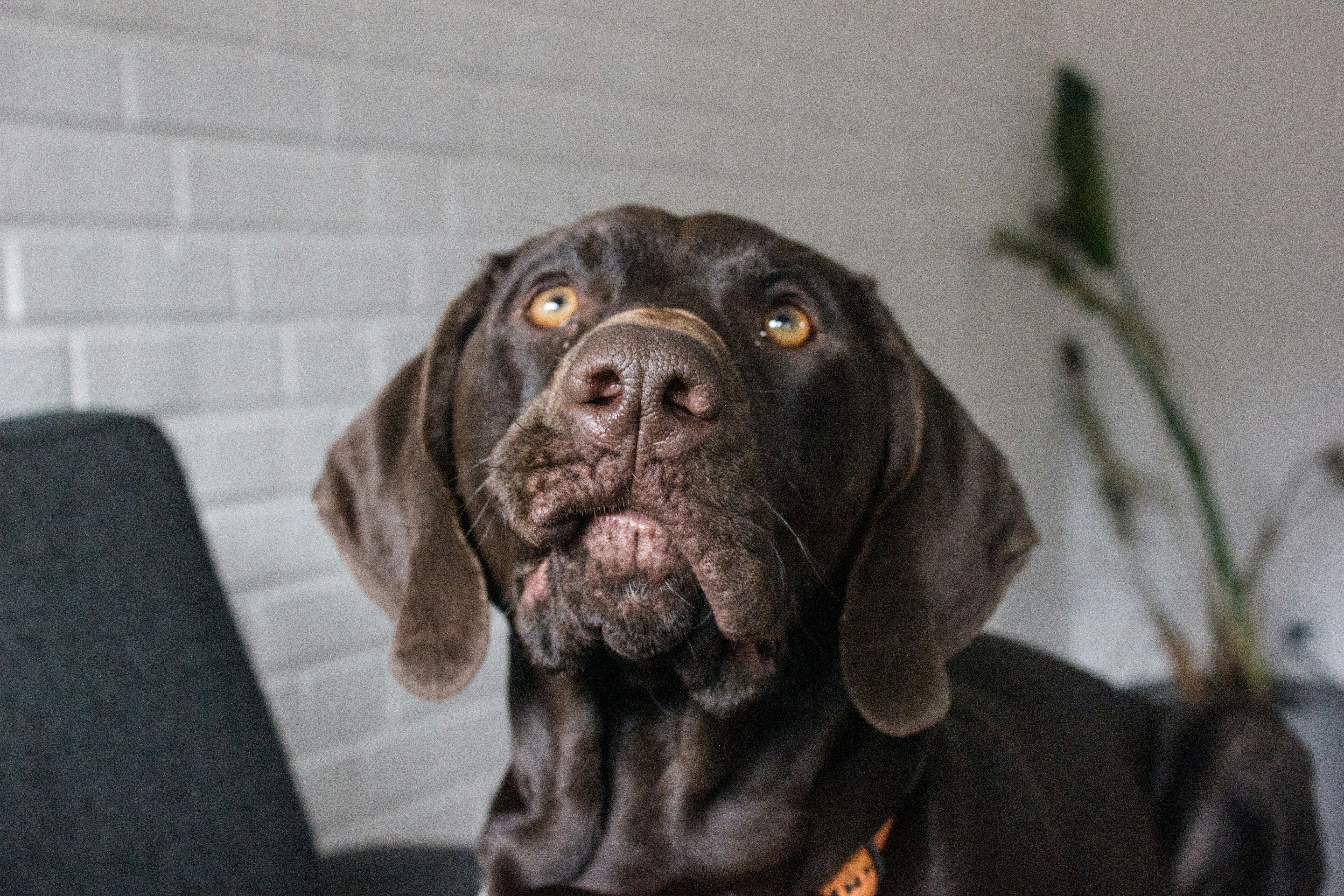 Photo by hugothephotographer