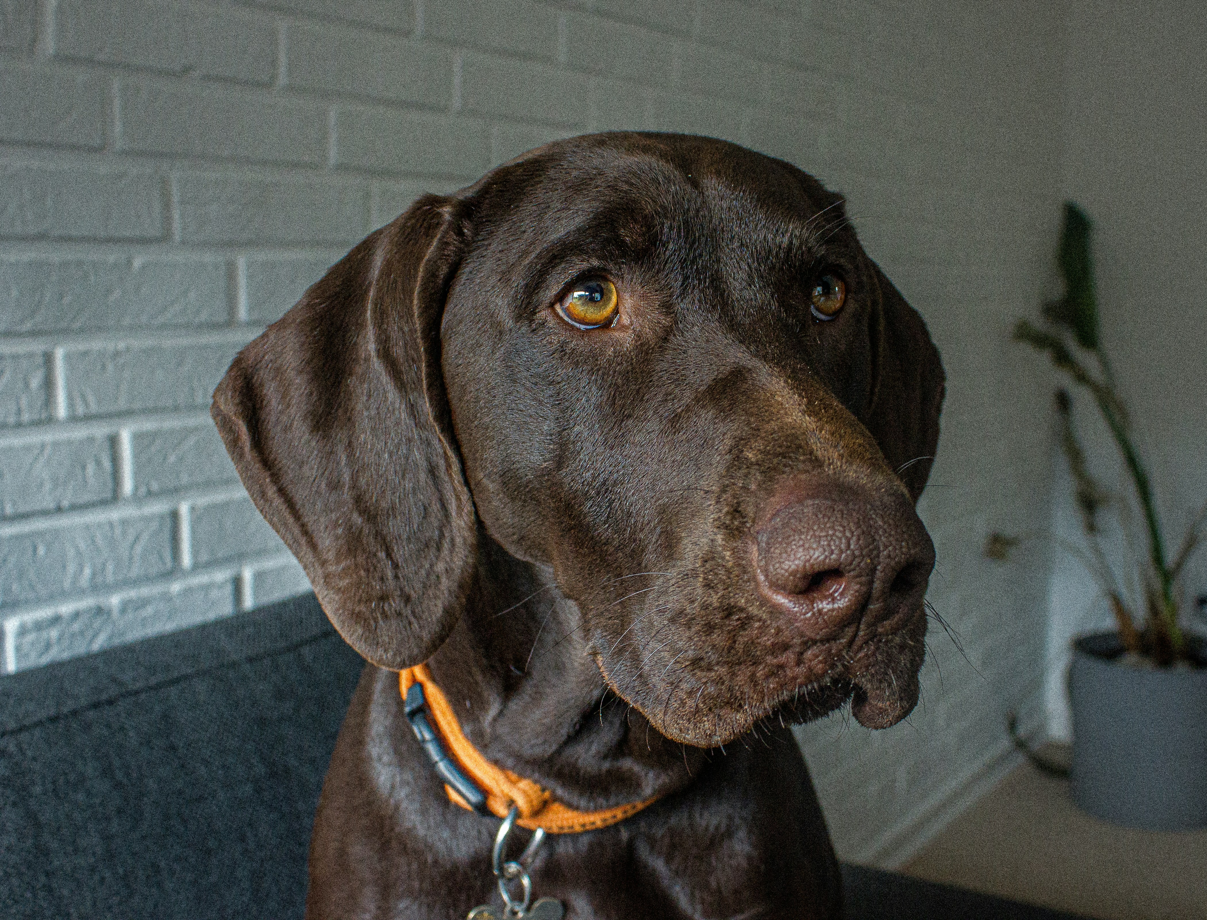 Photo by hugothephotographer