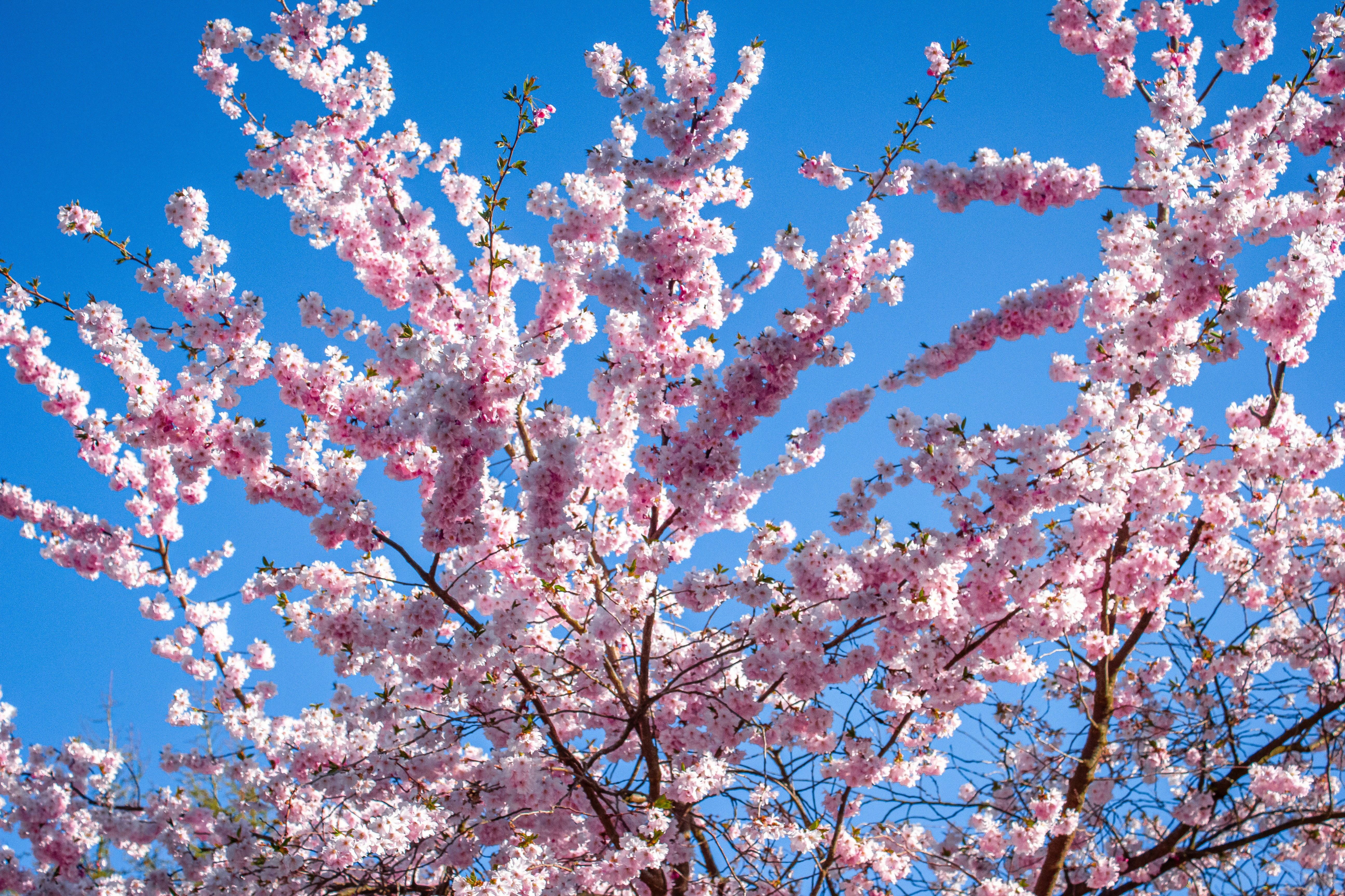 Photo by hugothephotographer