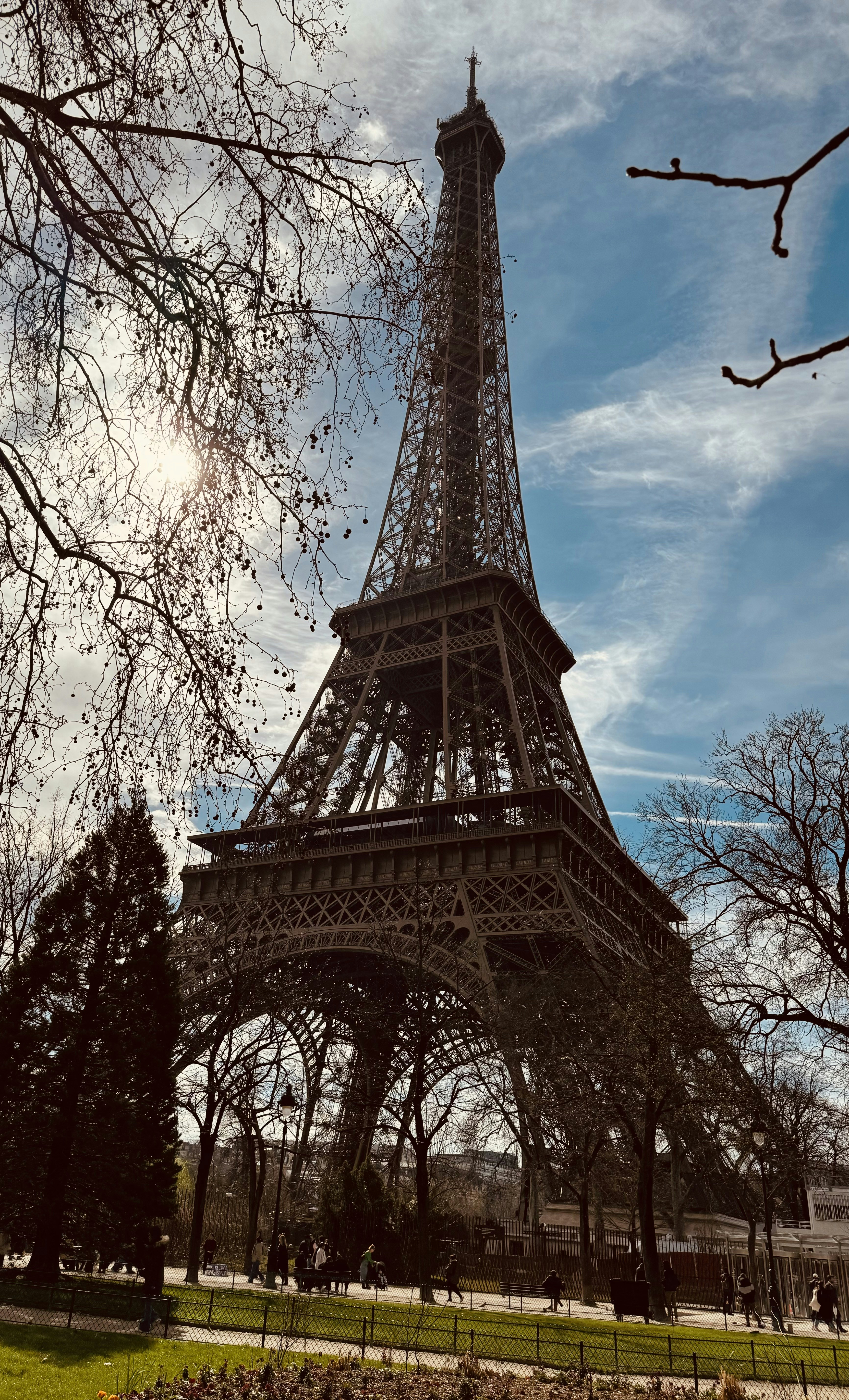 the eiffel tower towering over the city of paris