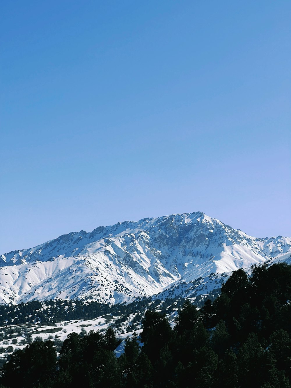 a view of a snowy mountain with trees in the foreground