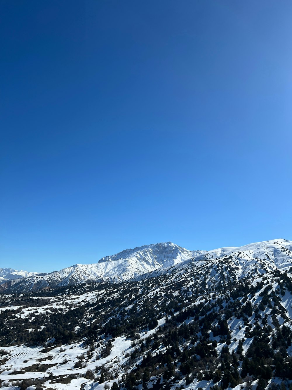 a view of a snowy mountain range from a ski lift