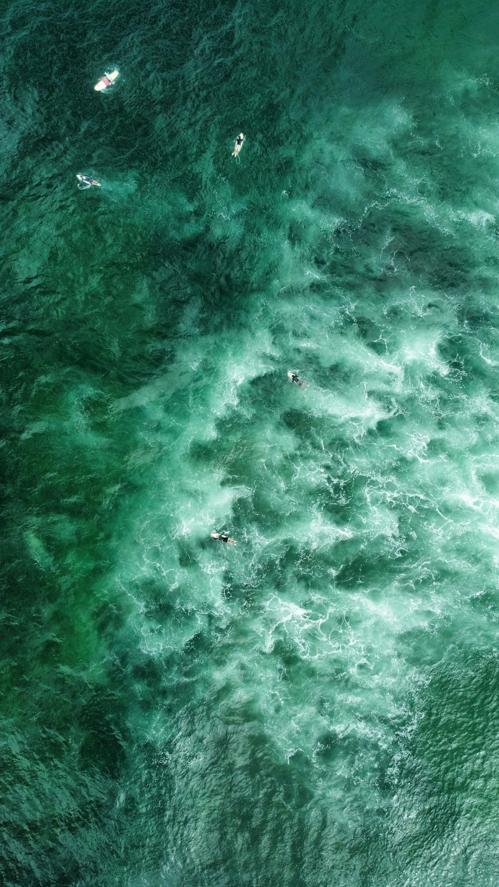 a group of people riding surfboards on top of a large body of water