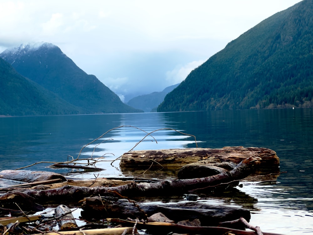 a body of water surrounded by mountains and trees