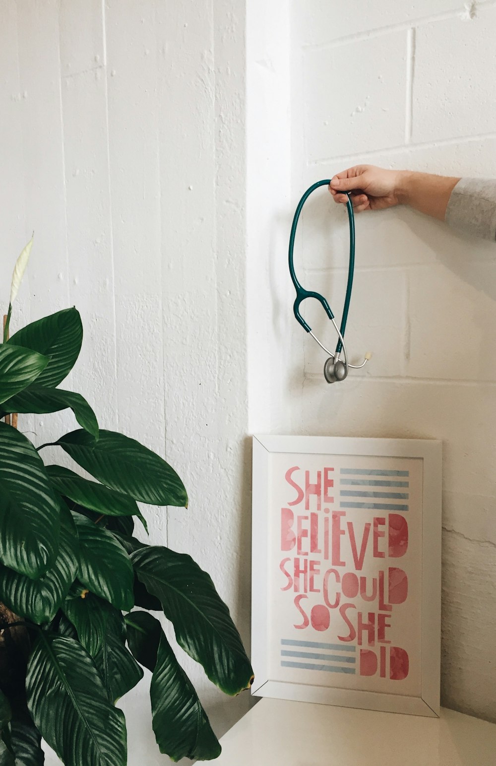 a person holding a stethoscope next to a plant