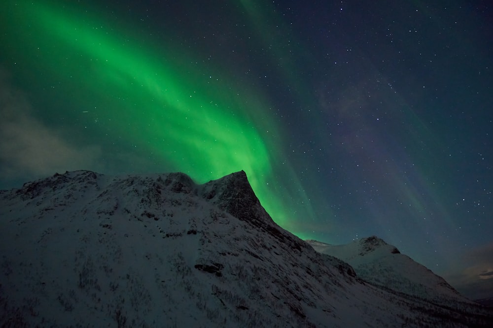 a green and purple aurora above a snowy mountain