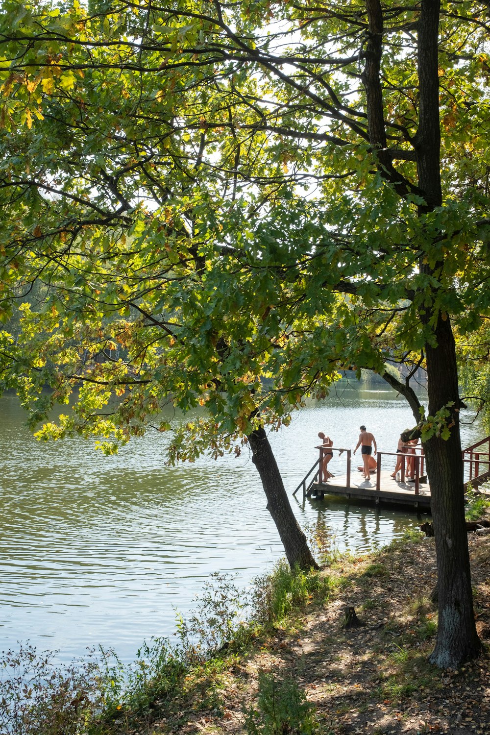 a group of people standing on a dock next to a body of water