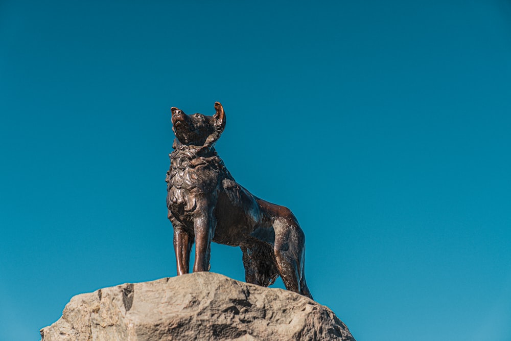 una statua di un cane in cima a una roccia