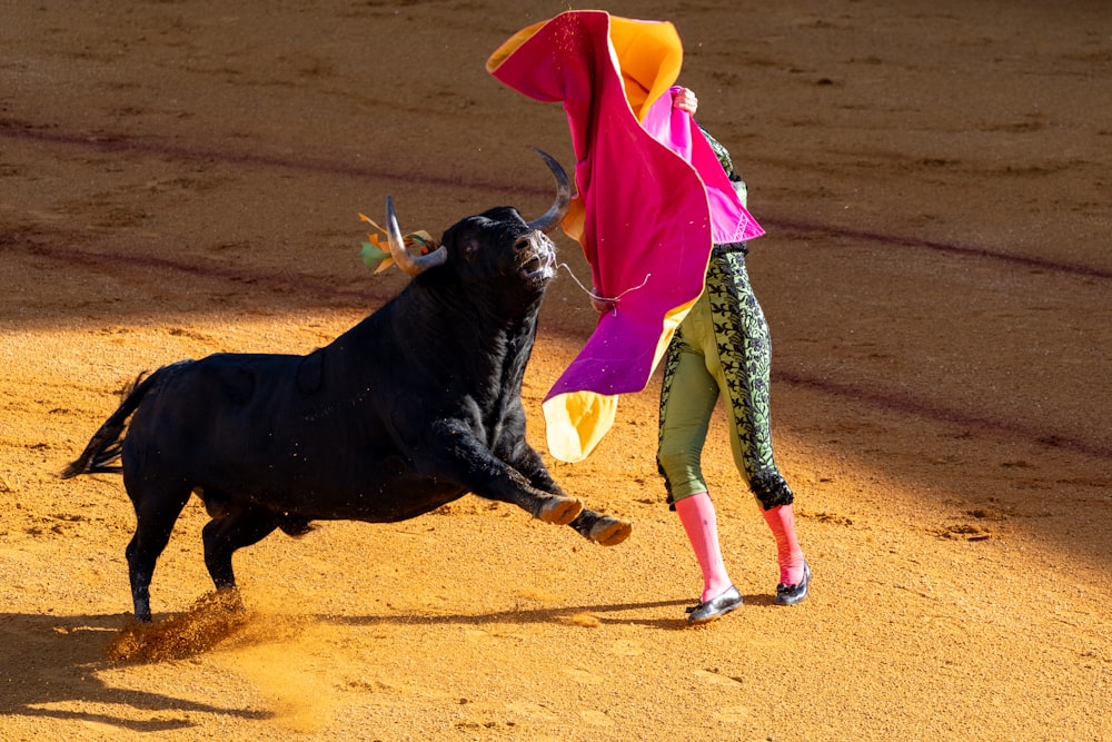 a woman is trying to wrestle a bull in a bullfight