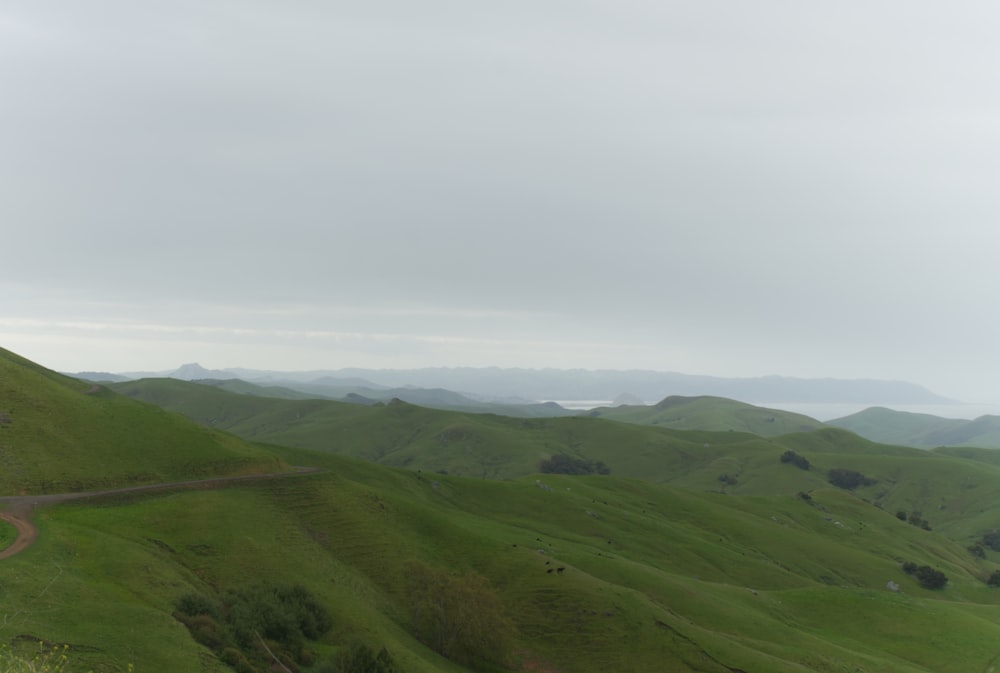 a dirt road winding through a lush green hillside