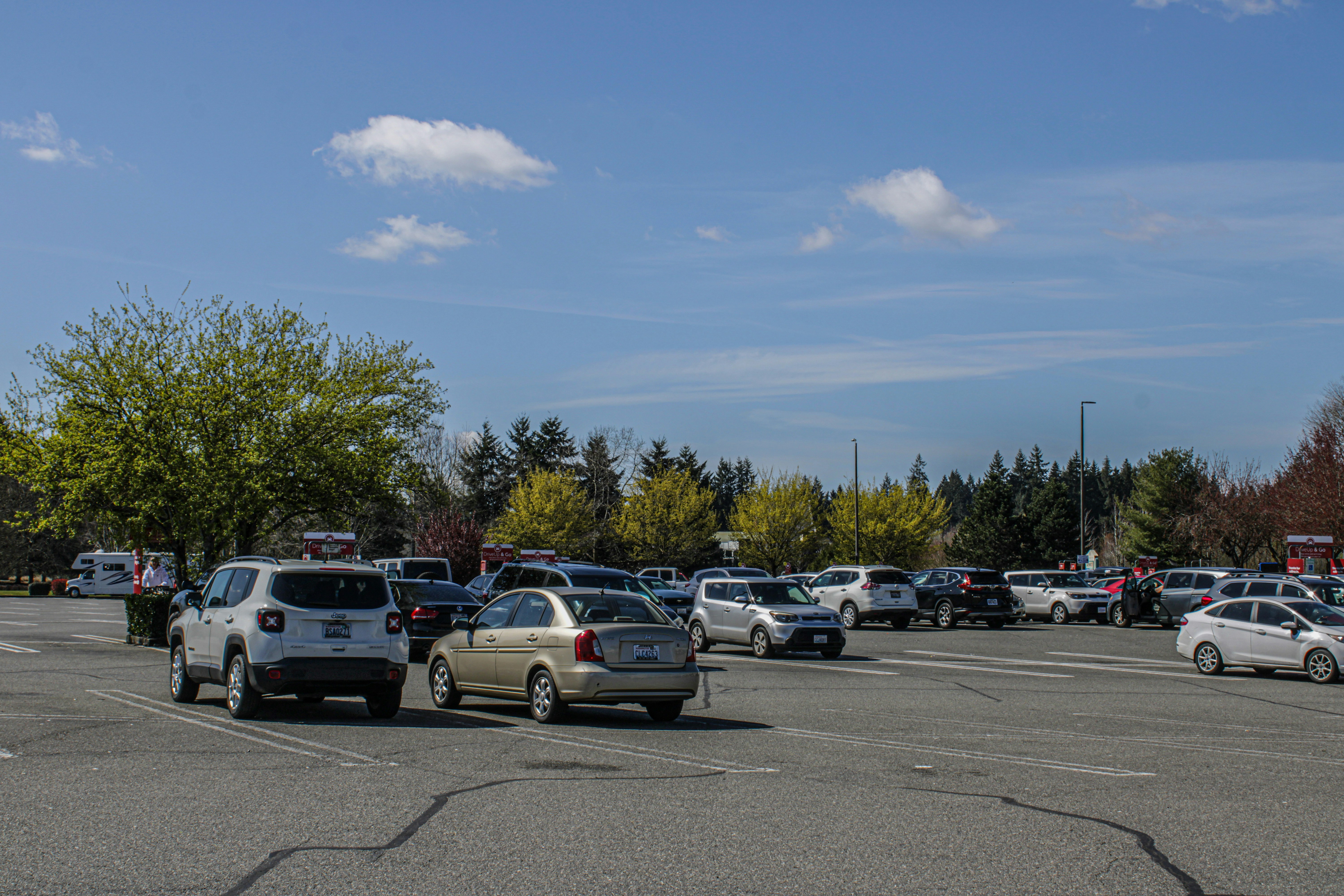 Row of used electric vehicles parked at a dealership