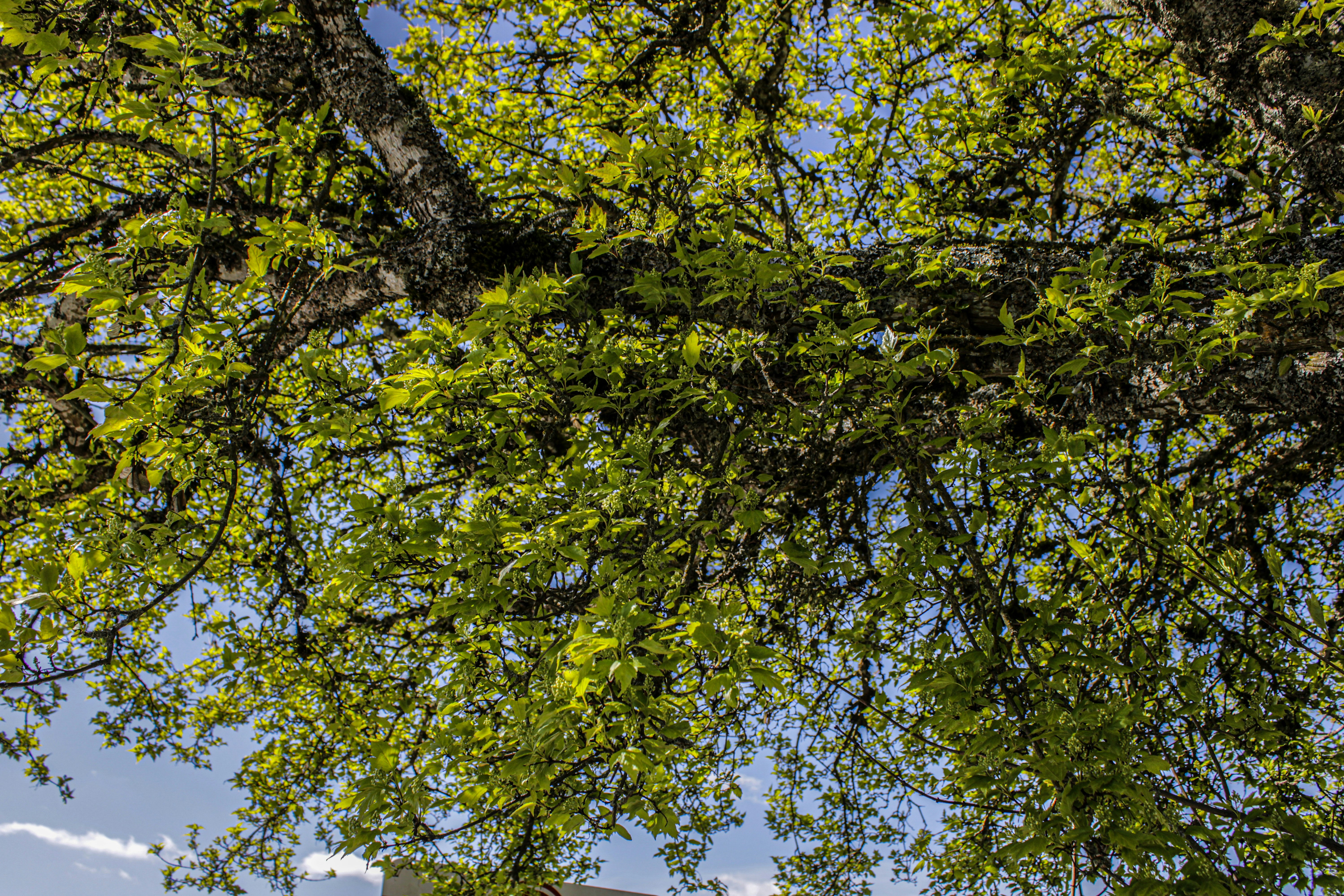 Photo by prphotography262