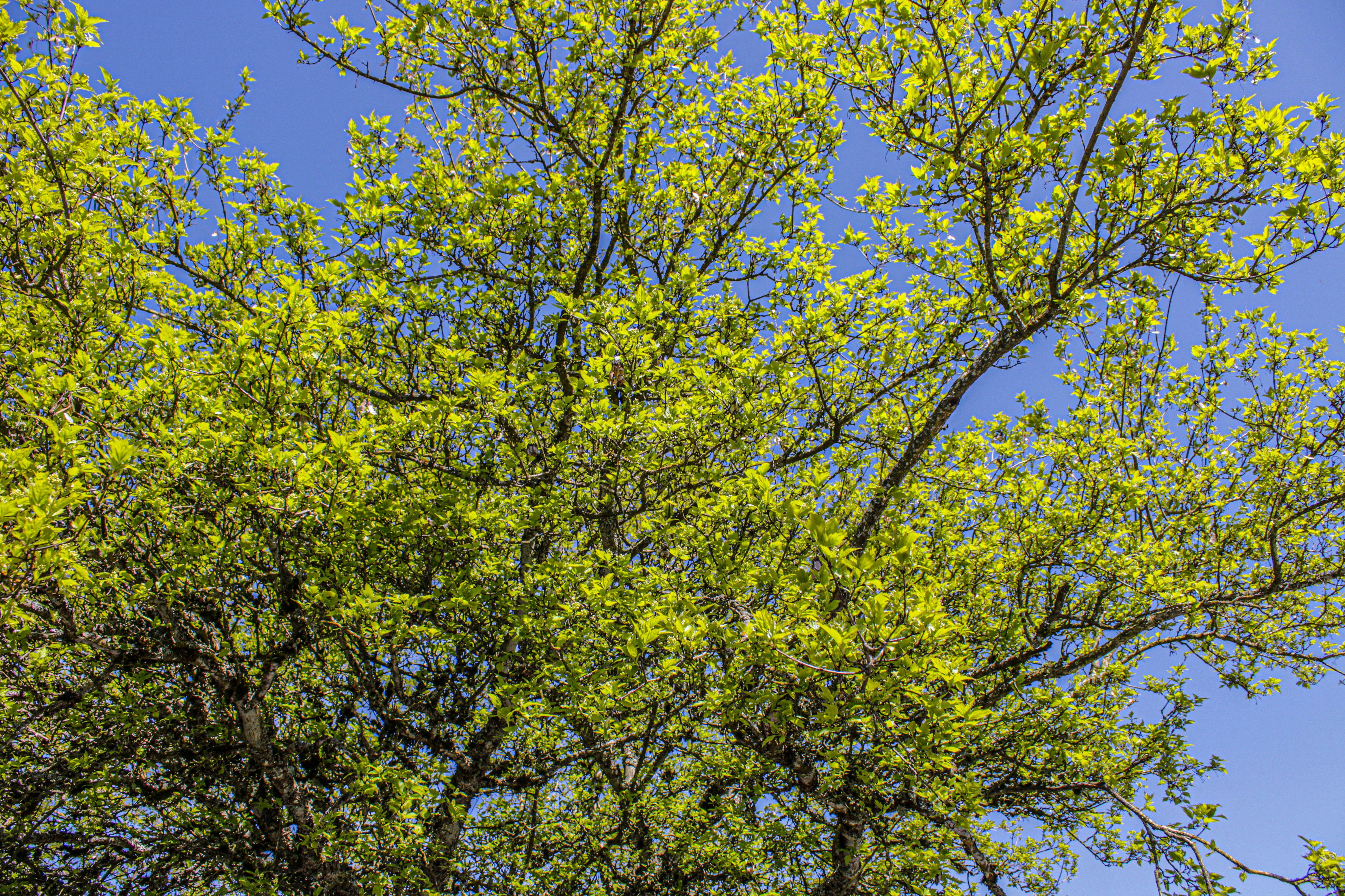 Photo by prphotography262