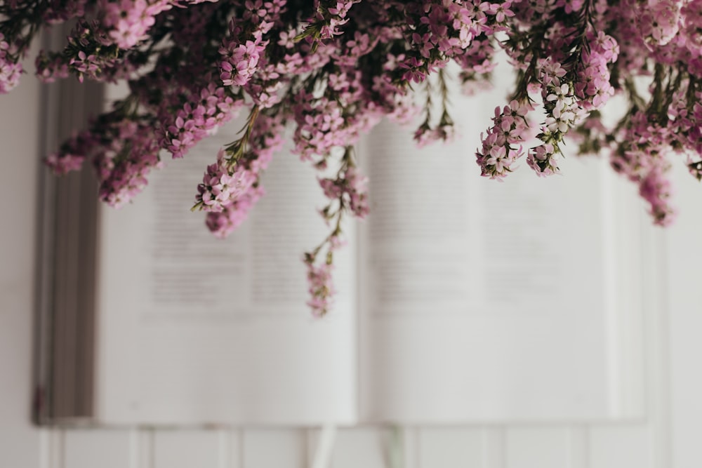 a close up of a bunch of flowers on a table