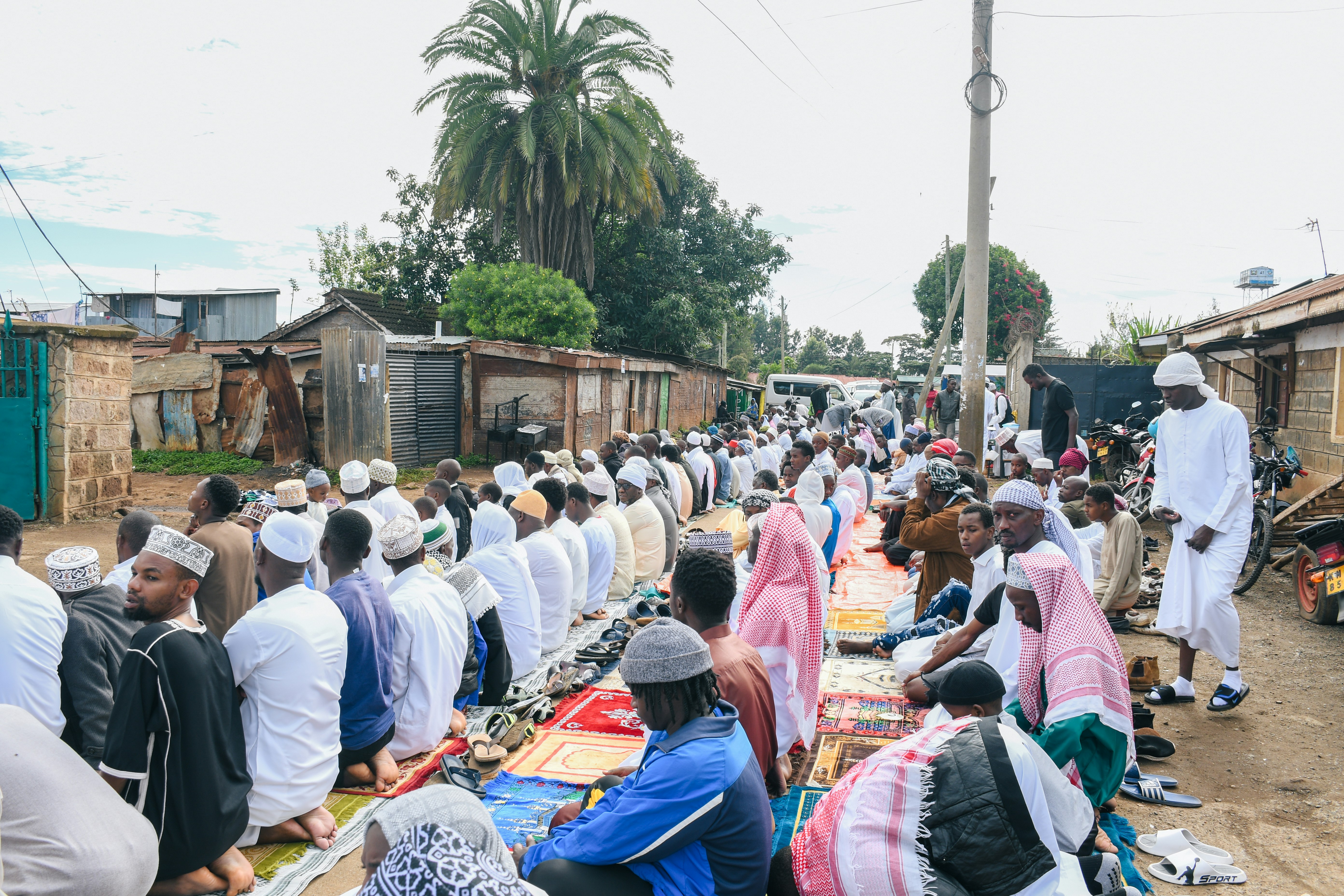 a large group of people sitting on the ground