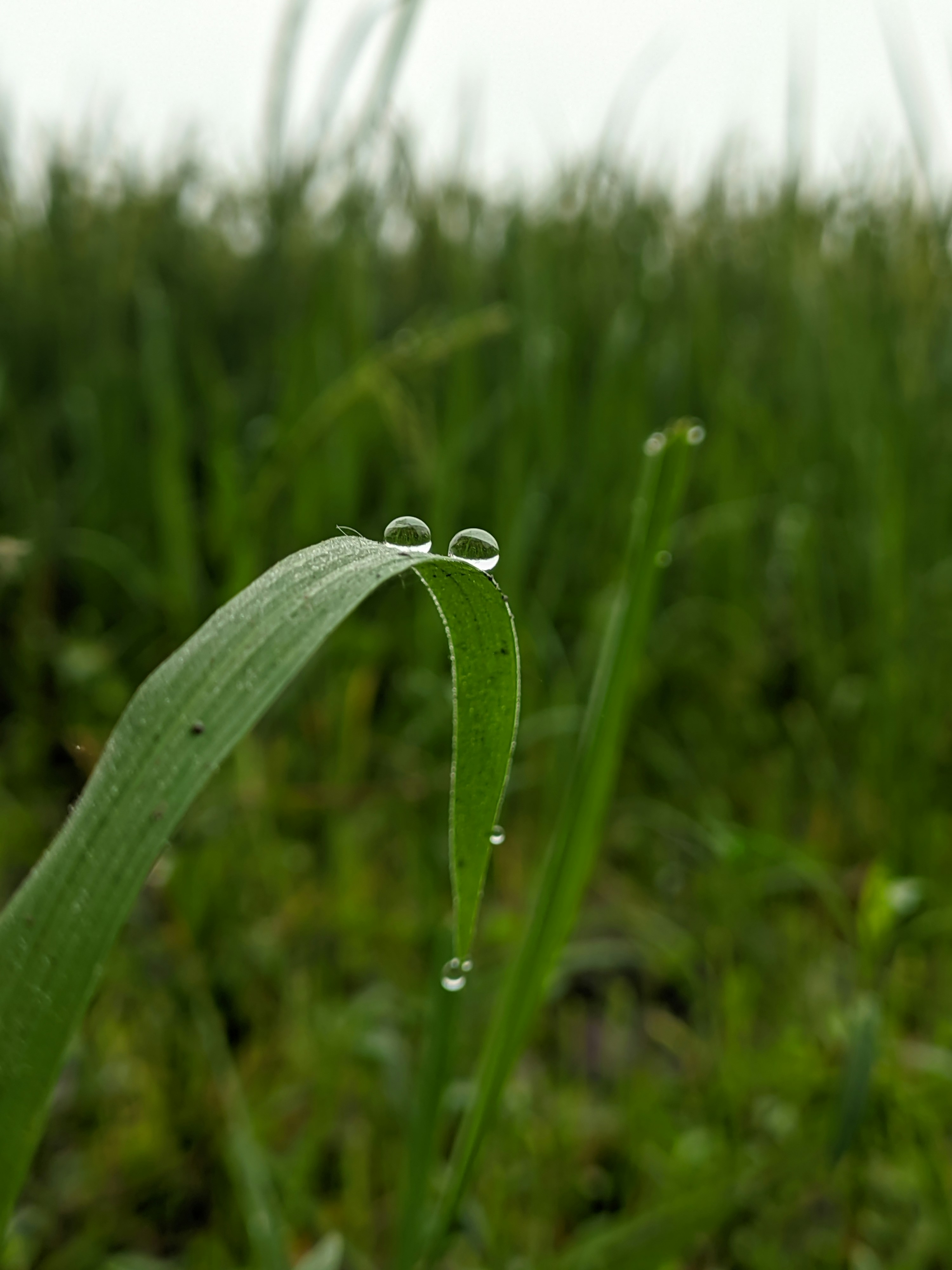 Photo by shotbywoliul