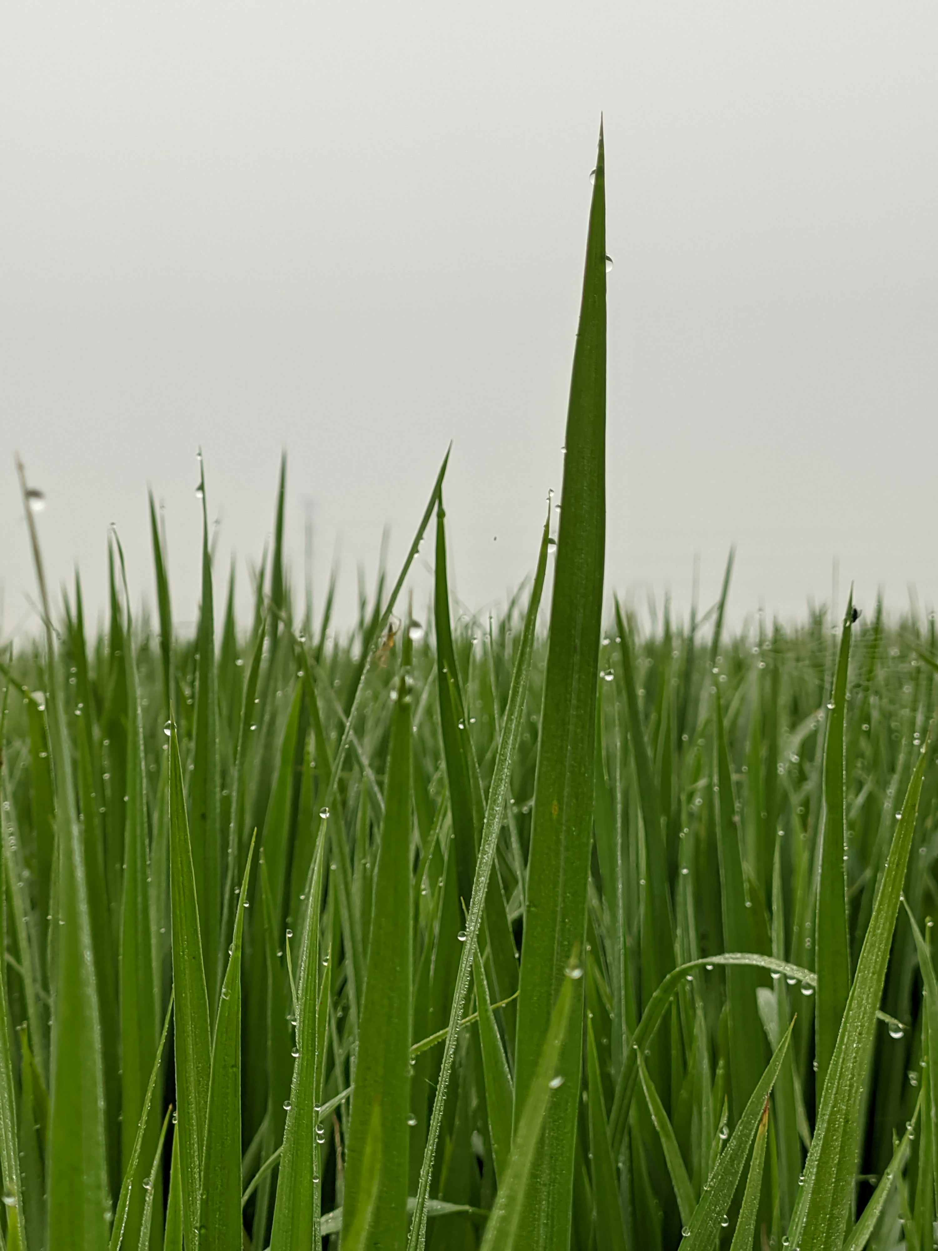 Photo by shotbywoliul