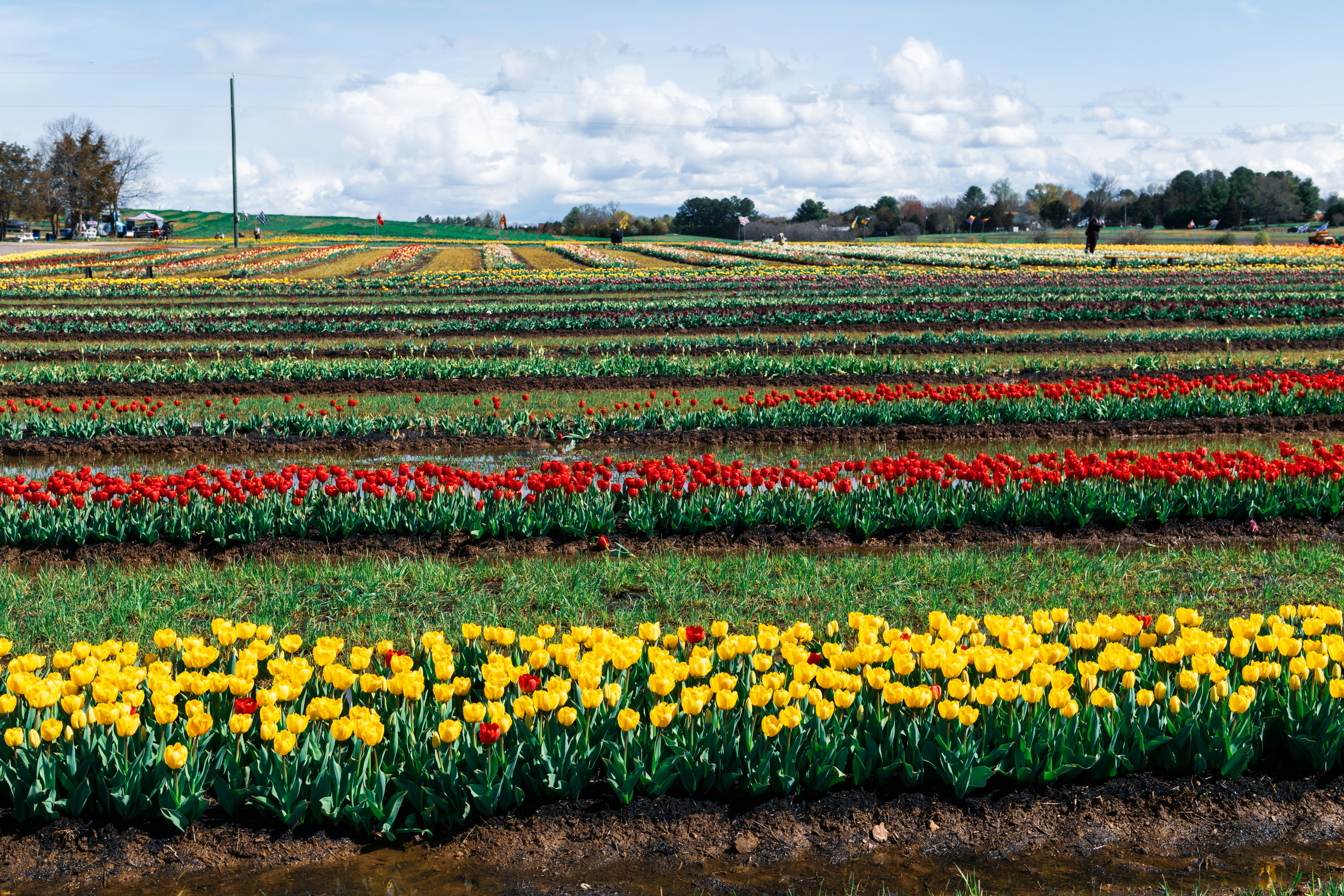 Photo by sriniunsplash