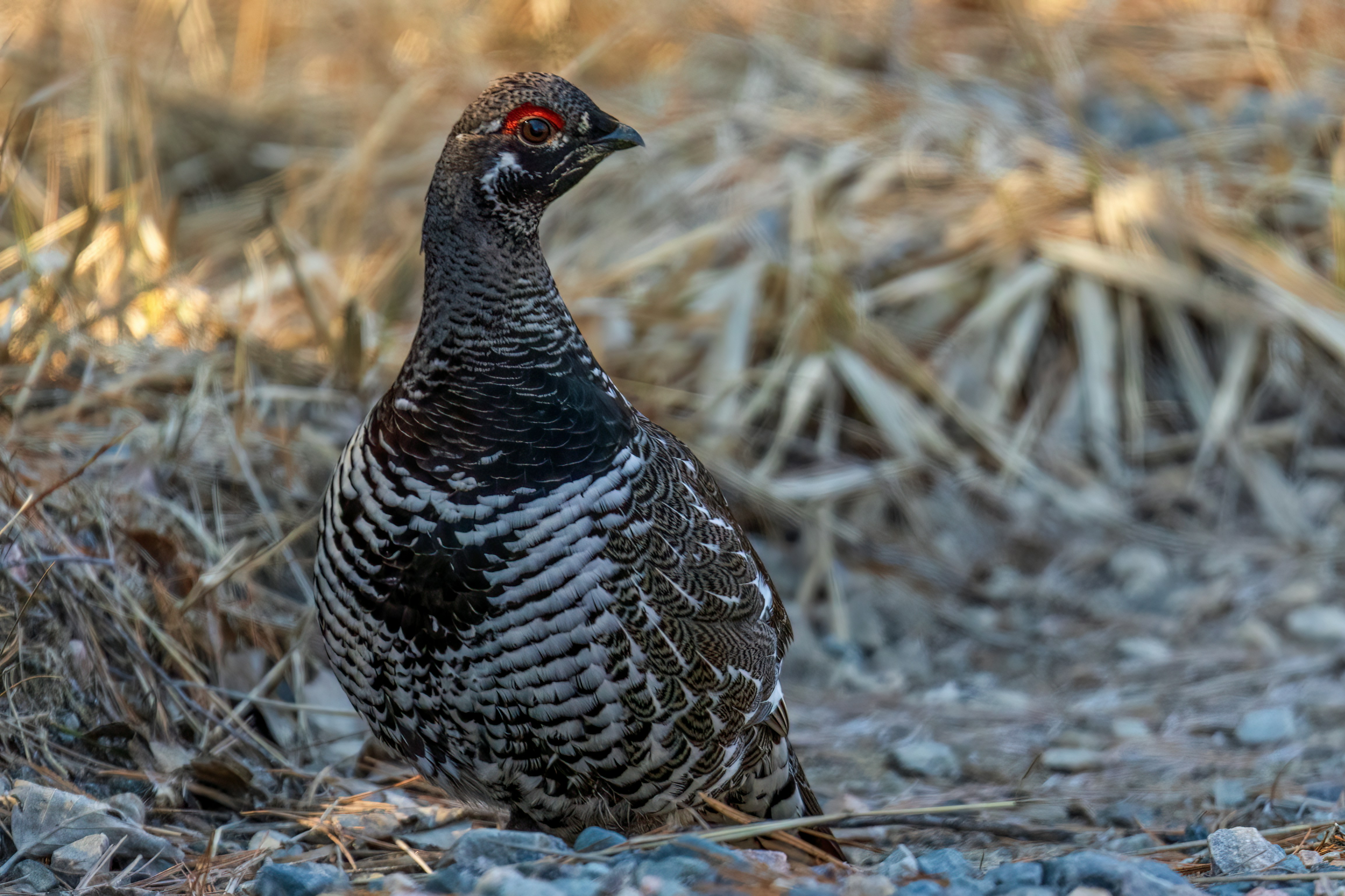 Photo by camerauthor