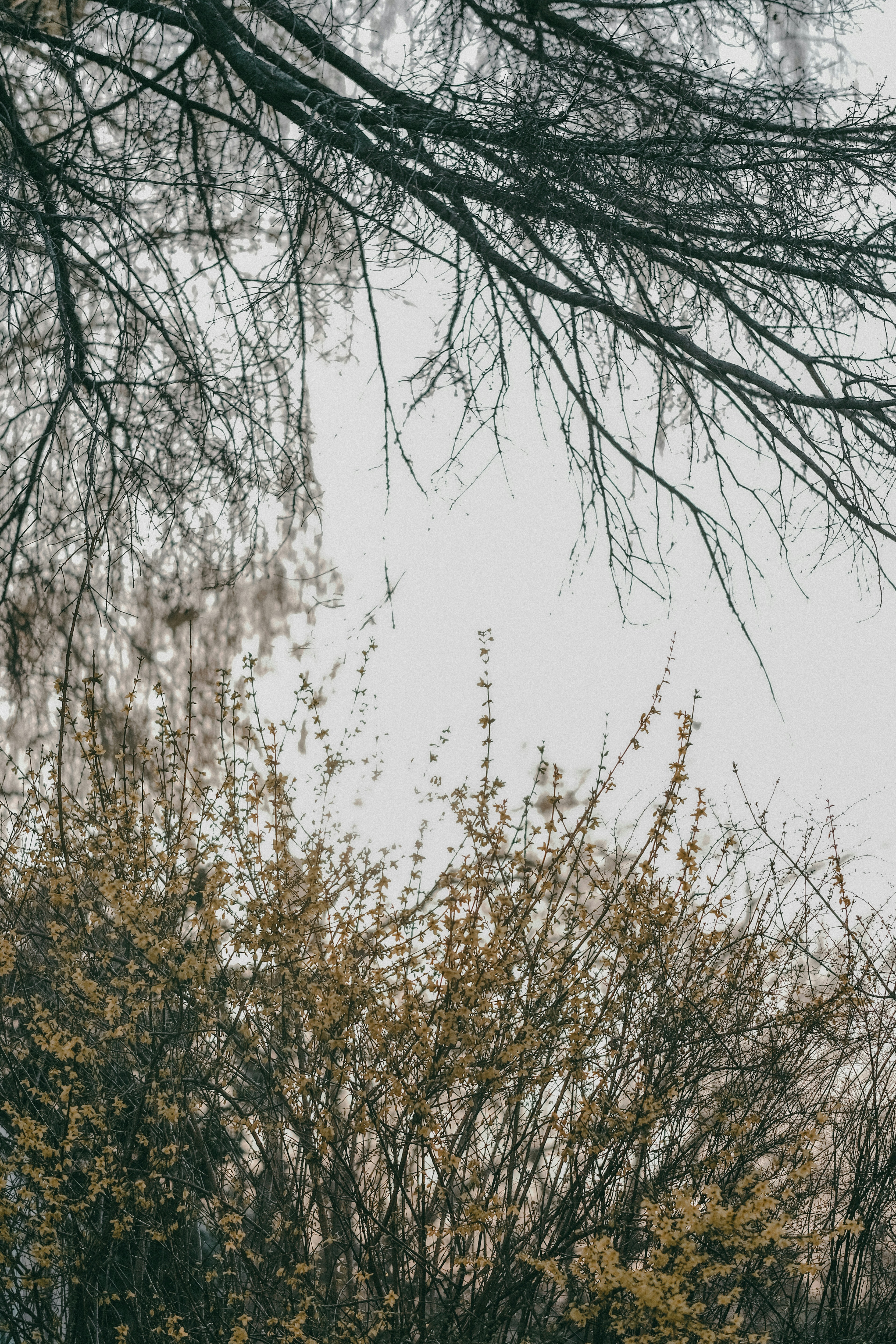 Photo by singhramneek54