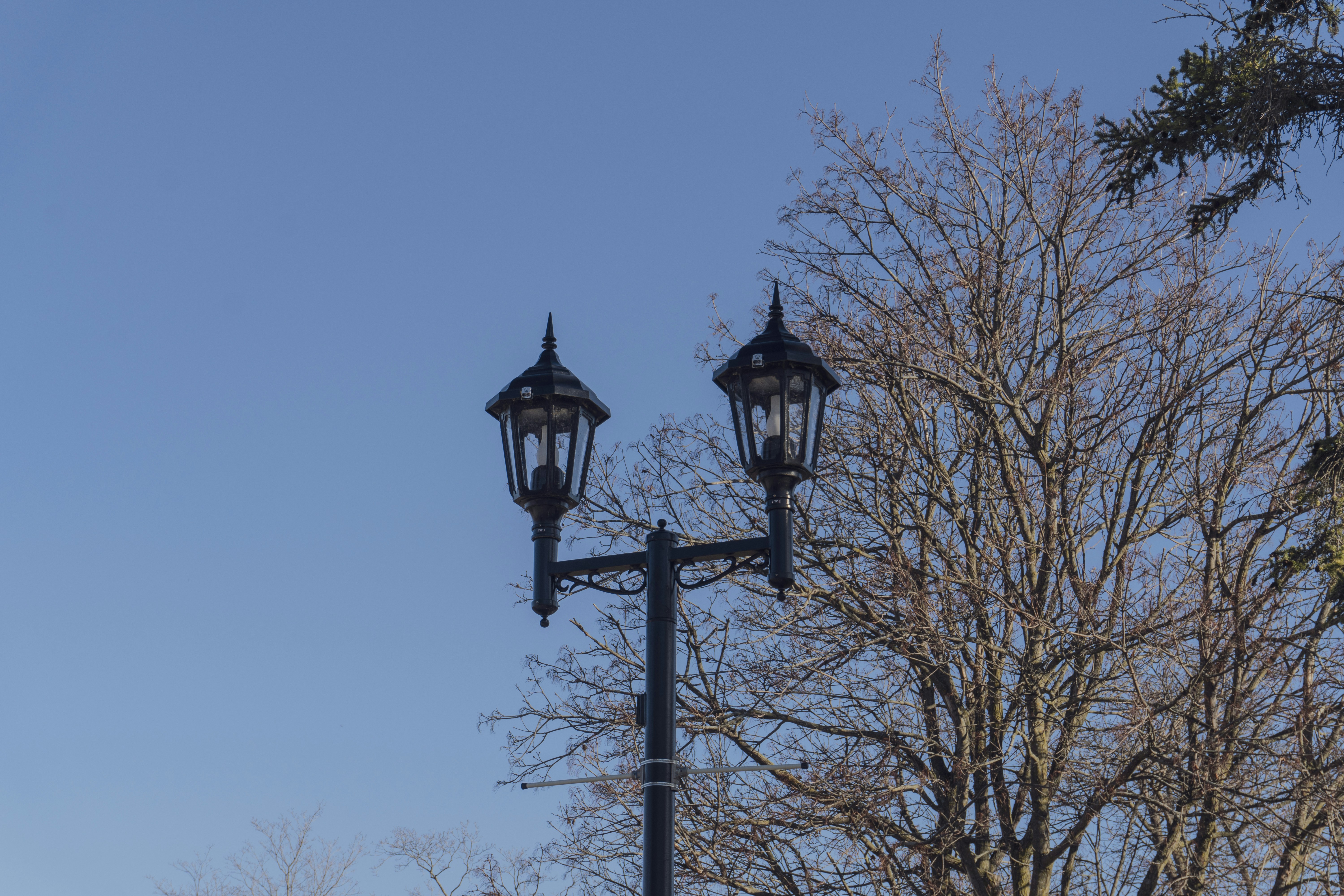 Photo by maheshkkreddy