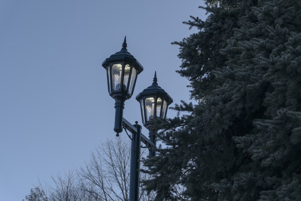 a couple of street lights sitting next to a tree