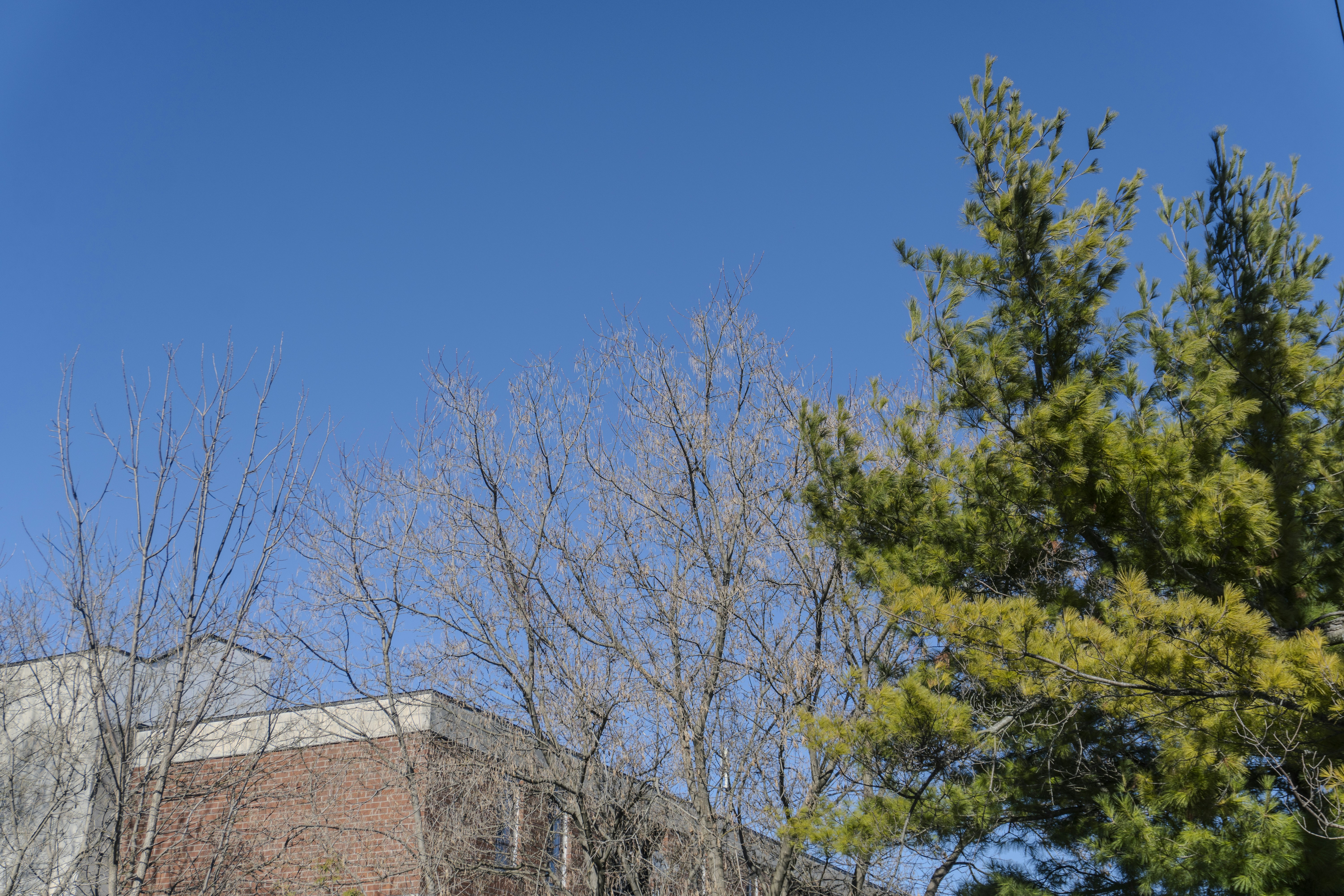 Photo by maheshkkreddy