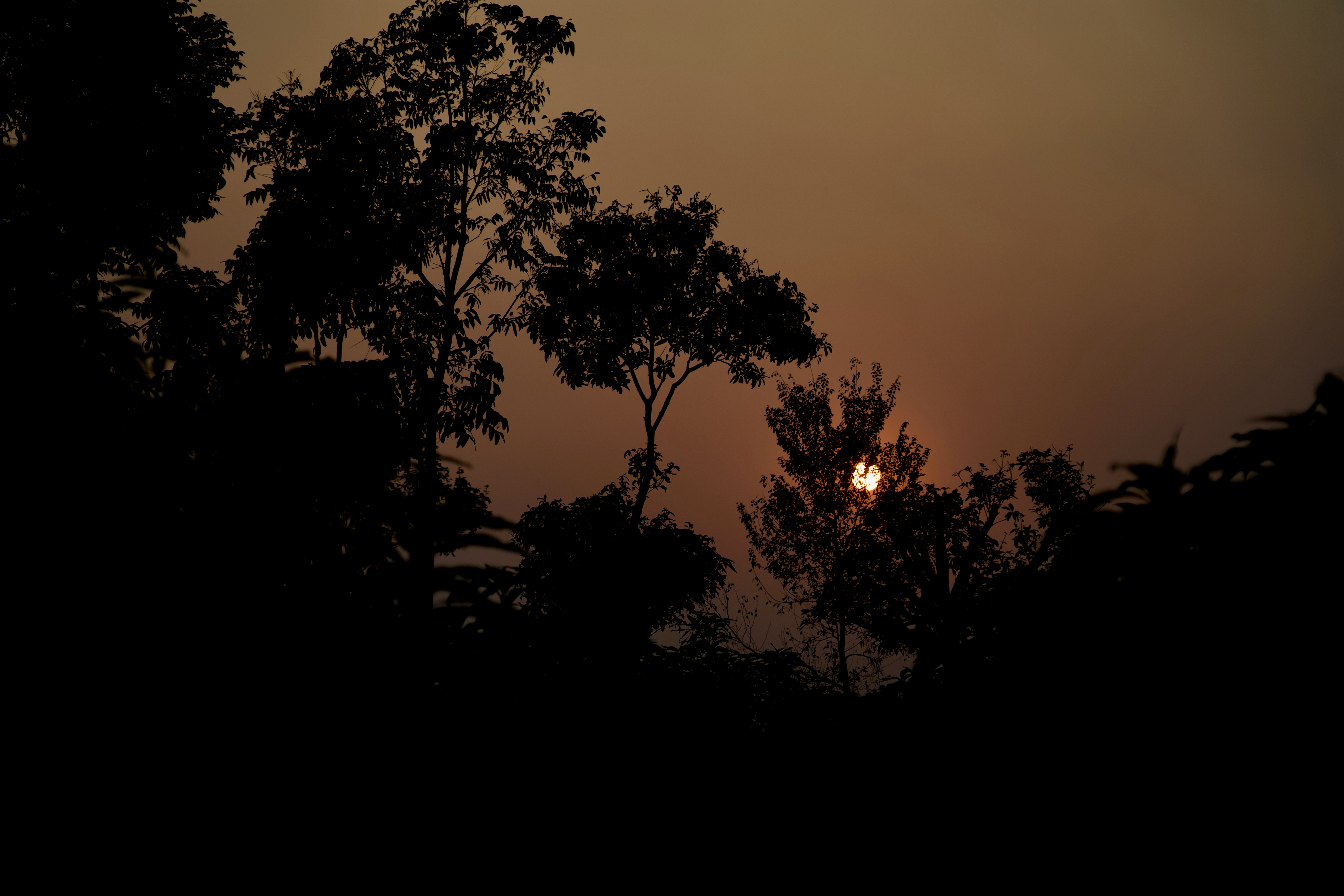 Sunset Travel Scenic