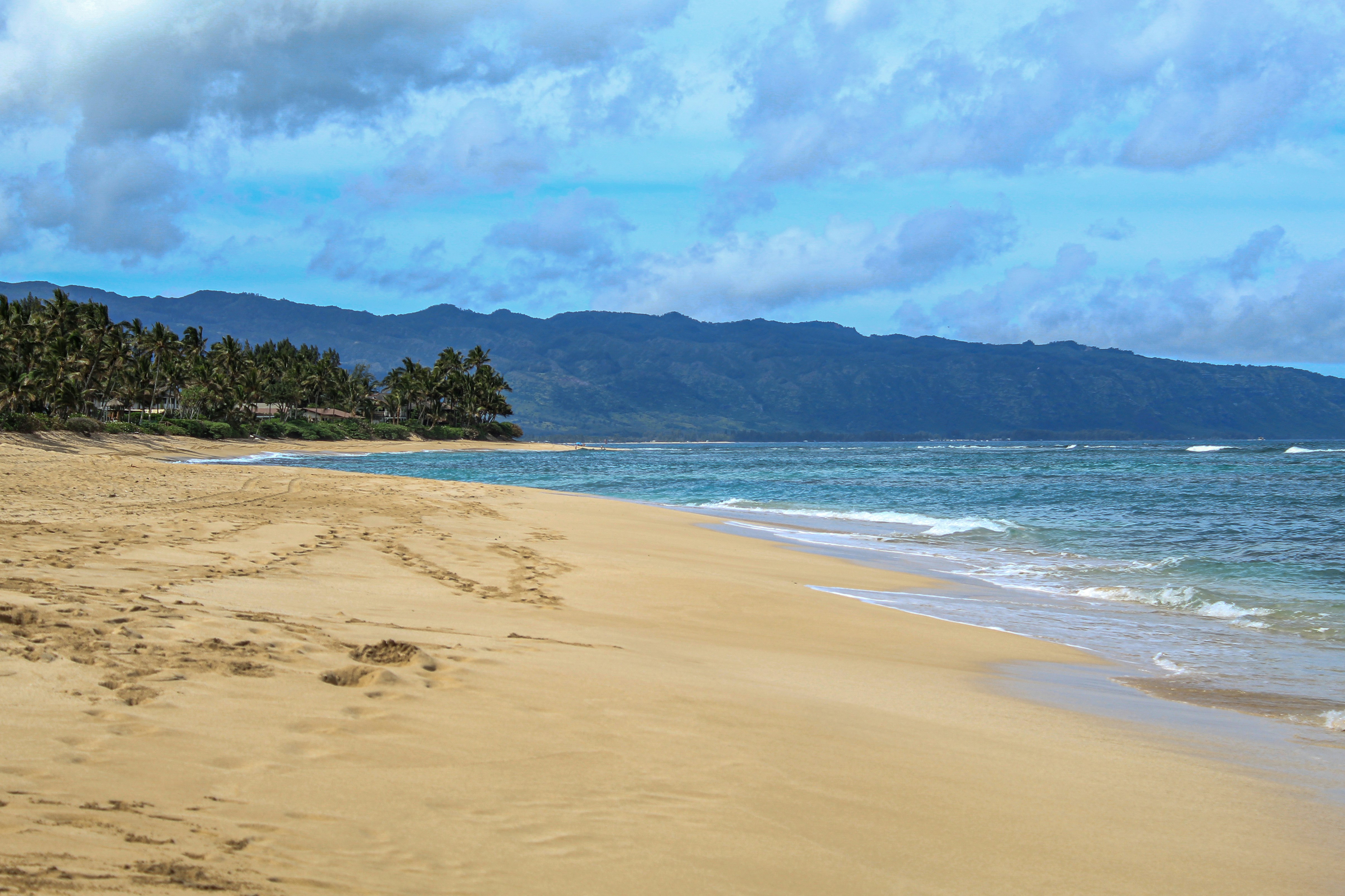Goa beach with golden sand, palm trees, and turquoise Arabian Sea waves