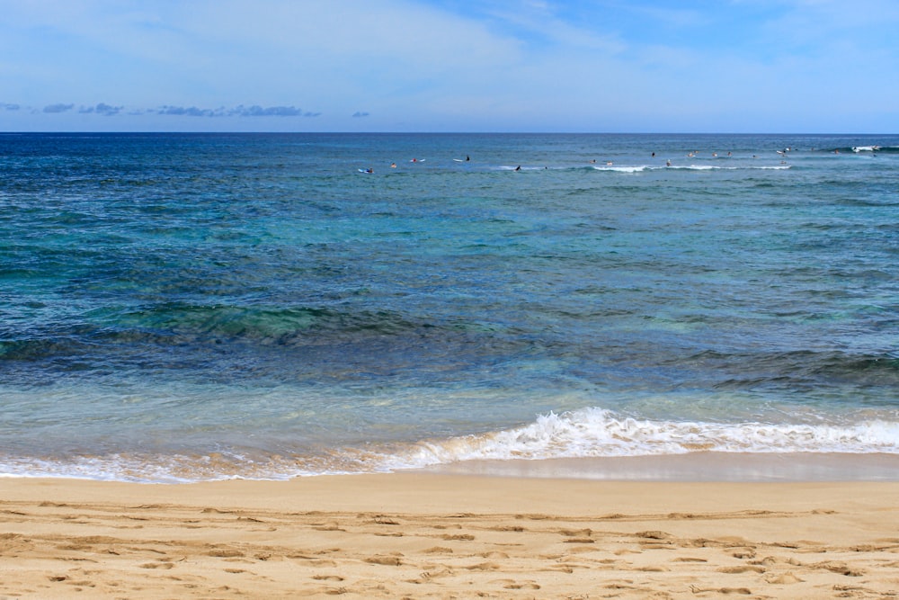 a sandy beach next to the ocean under a blue sky