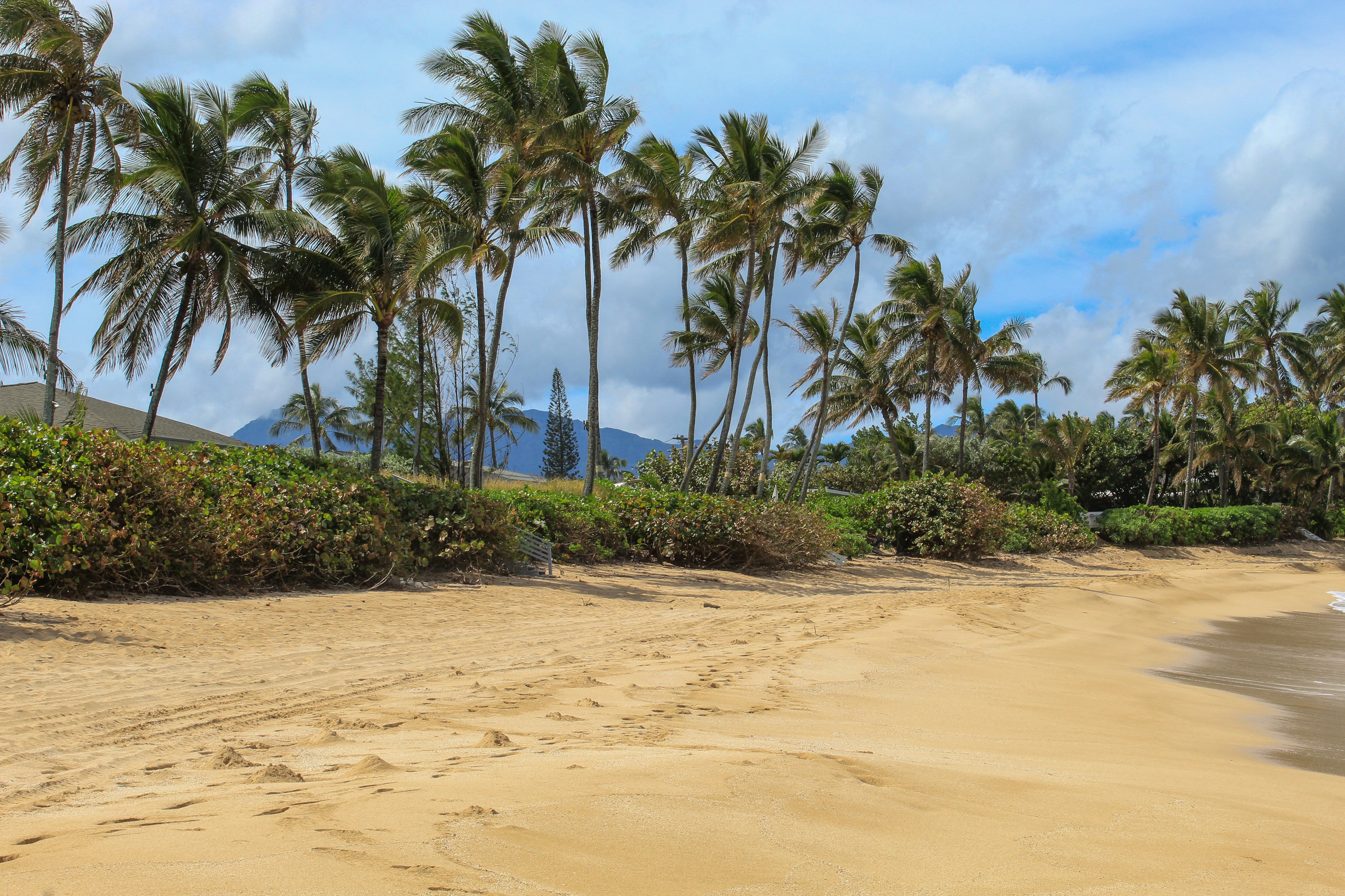 Que faire à Saint-Paul à La réunion ? Top 10 des activités incontournables !