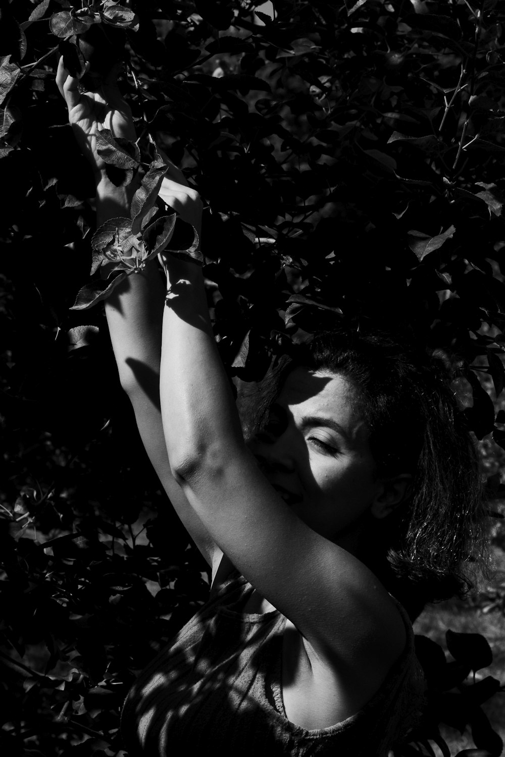 black and white photograph of a woman picking leaves off a tree