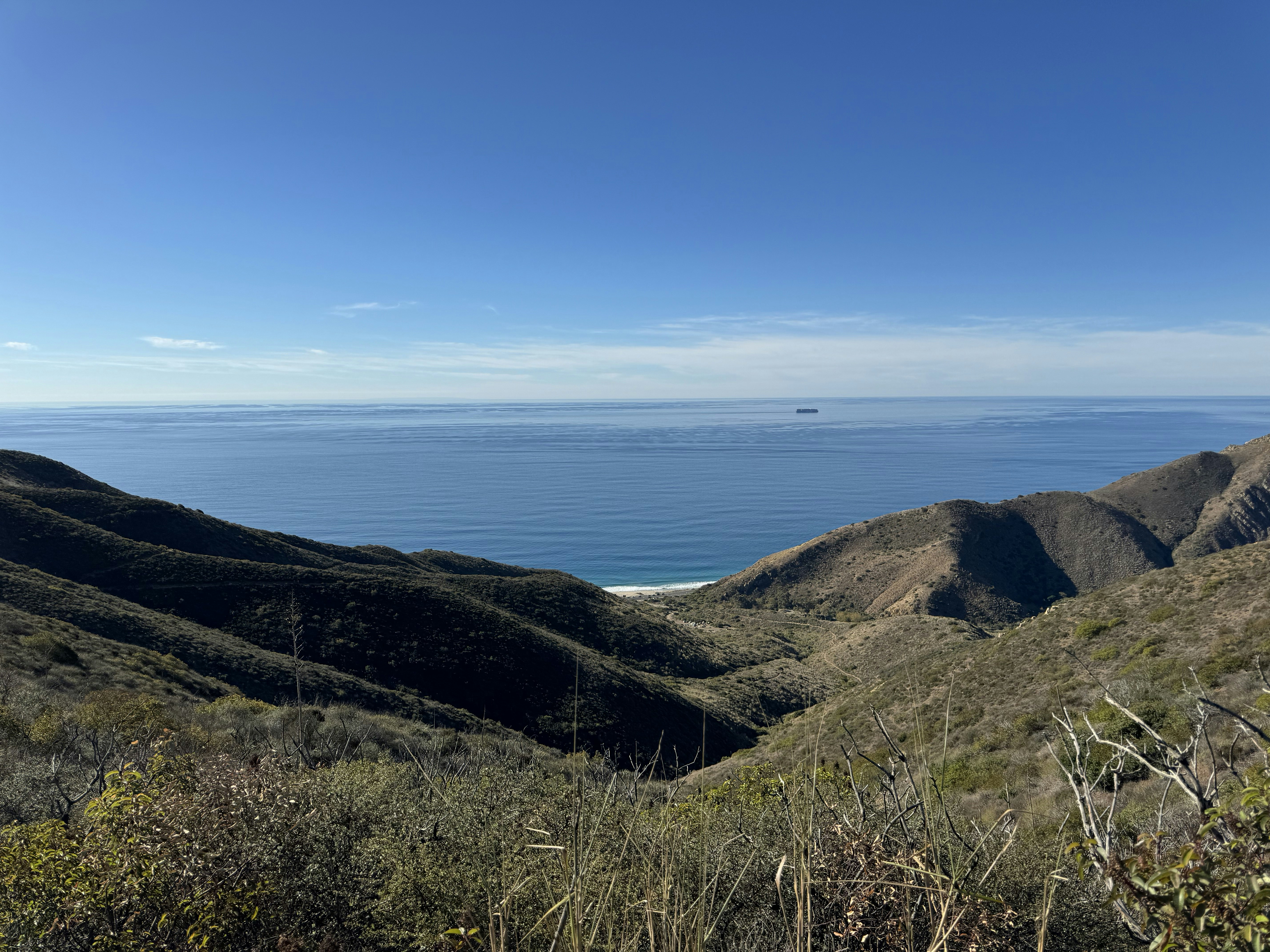 Photo by freedomjnky