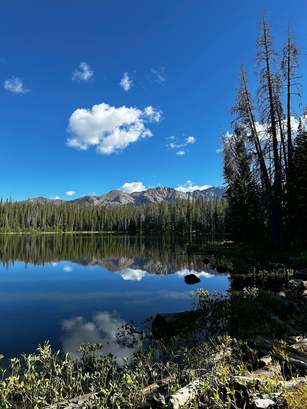 a lake surrounded by trees and mountains under a blue sky