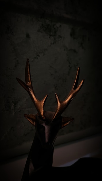 Early morning autumn forest with fog and golden light during late season hunt