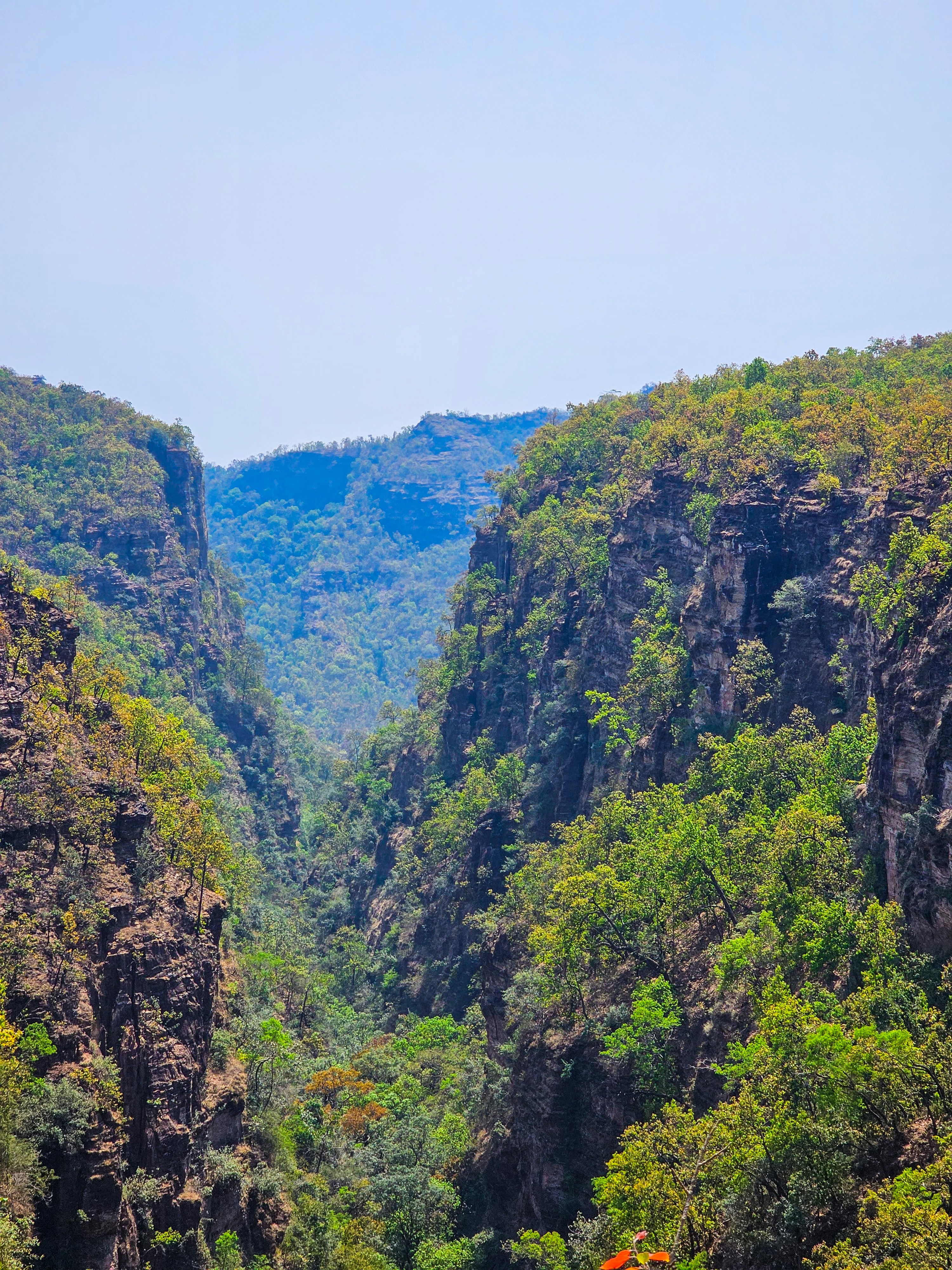 Photo by rishabhnimje