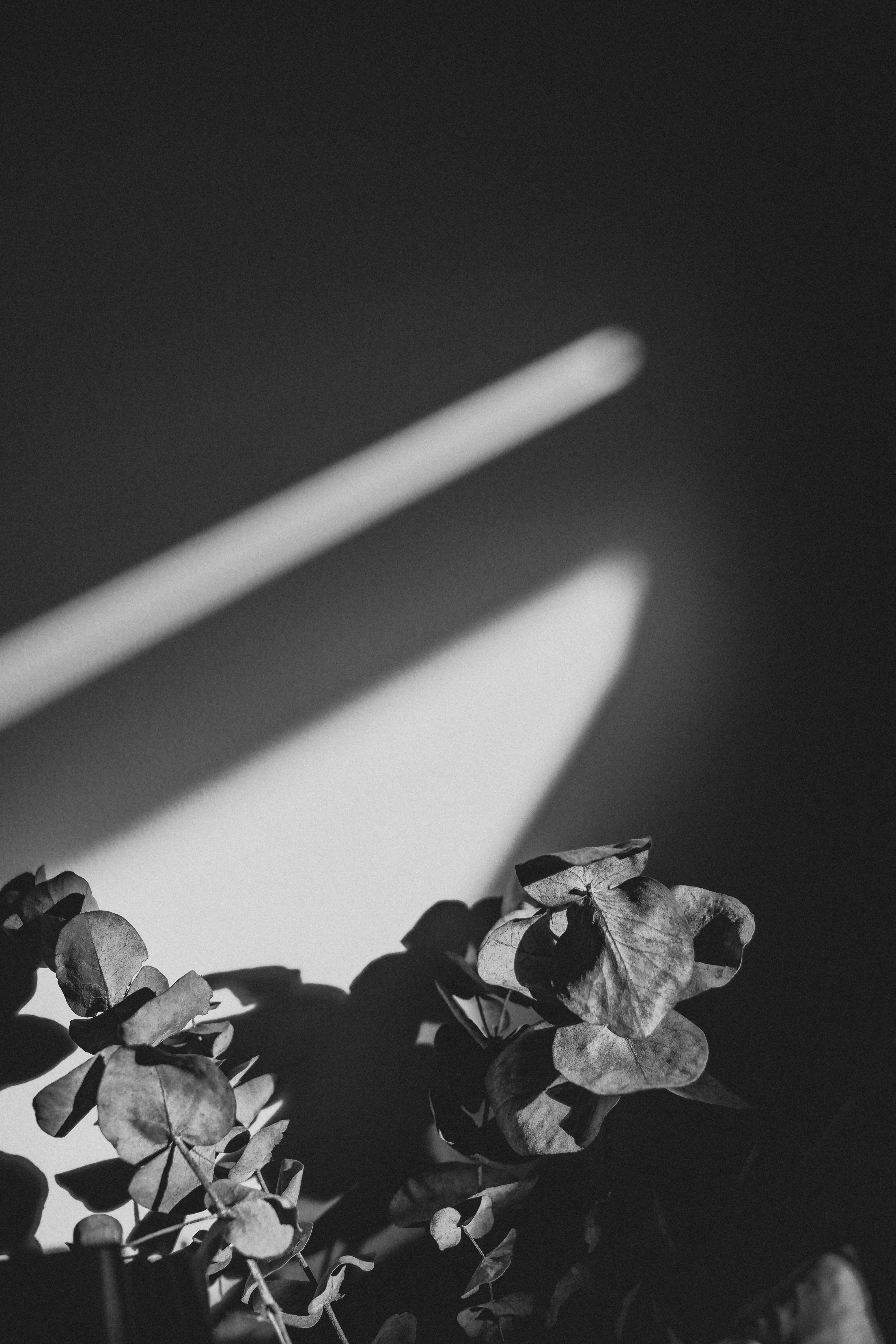 Photo by ryanduong94