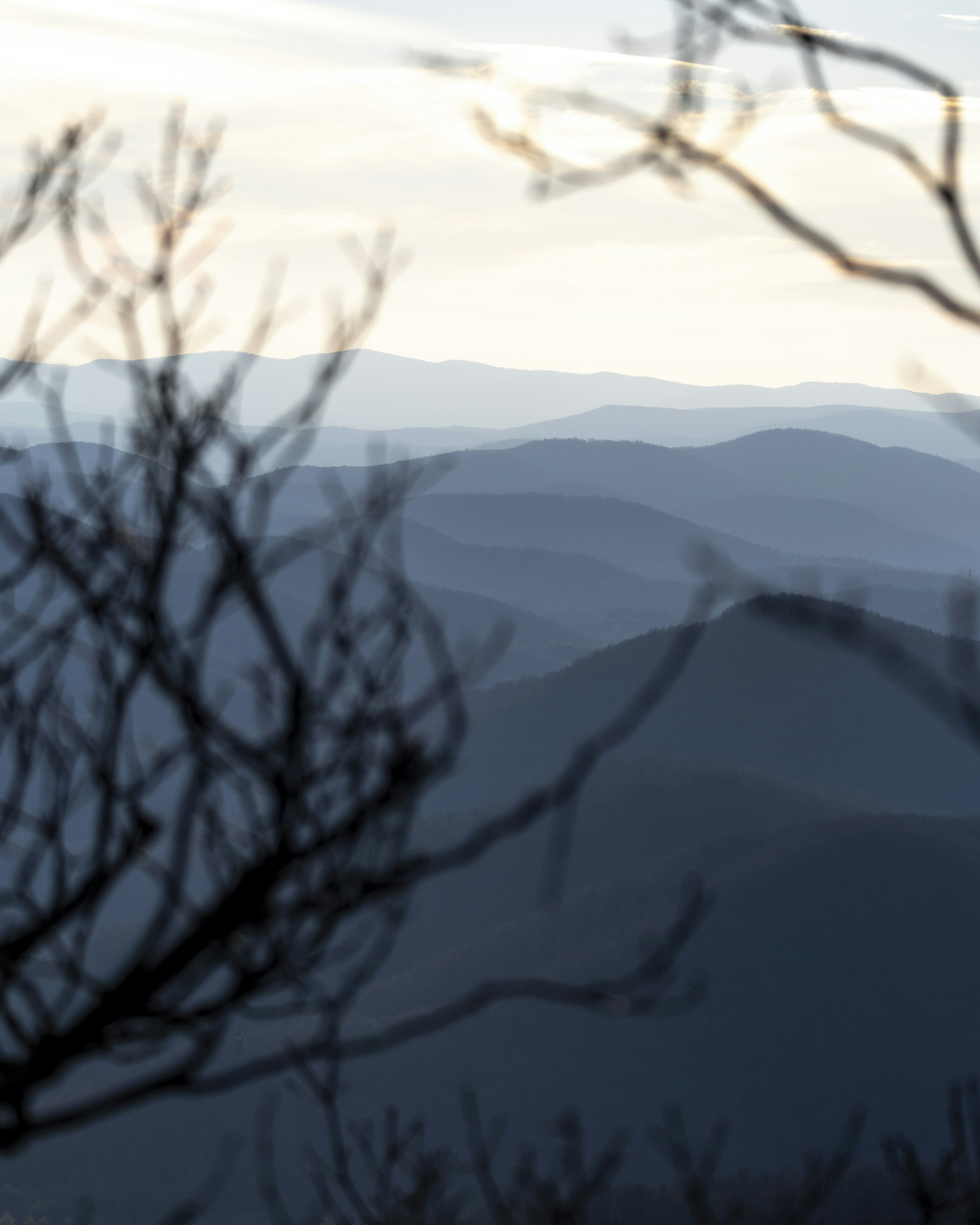 Photo by kathmandude_