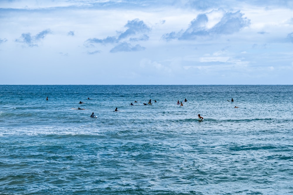 a group of people swimming in the ocean