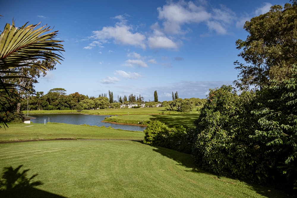 a view of a golf course from a distance