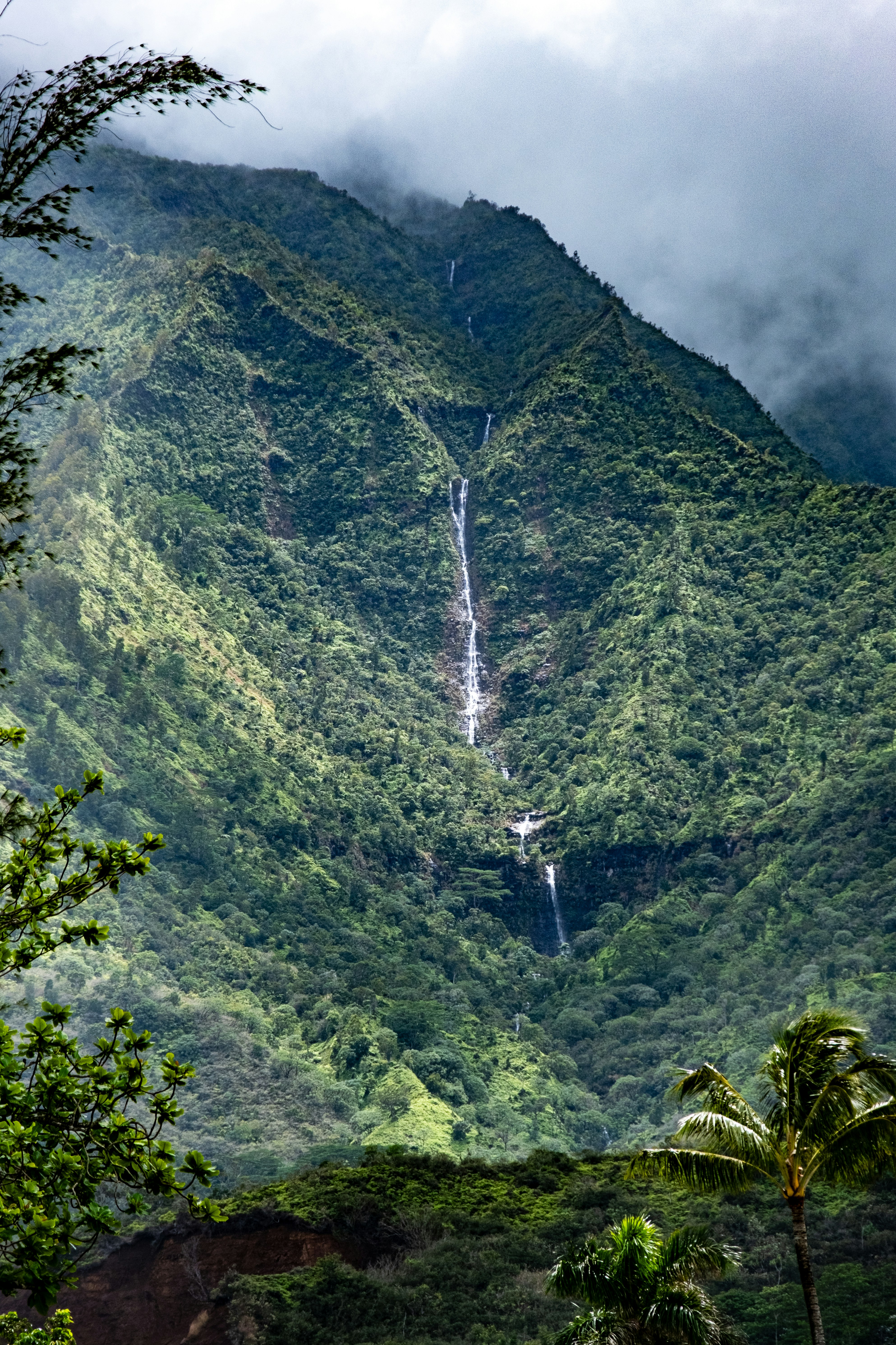 Photo by alanrodriguez