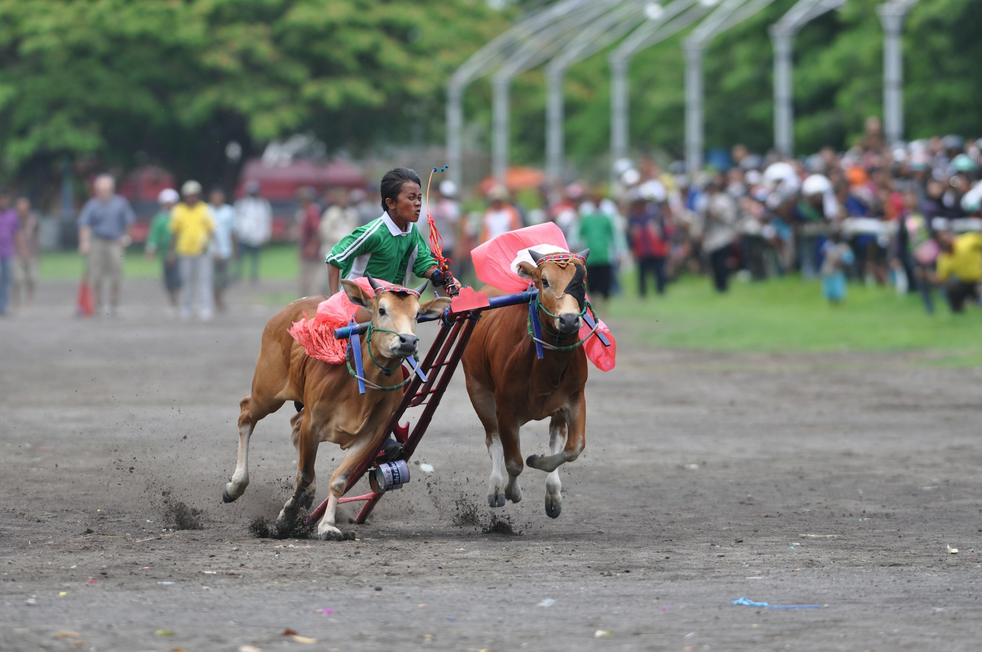 Madura Travel Guide: Essential Tips and Local Insights