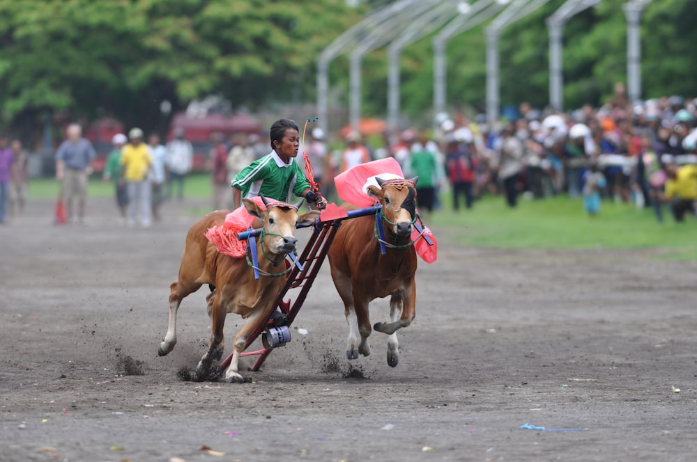 a man riding on the back of a brown horse