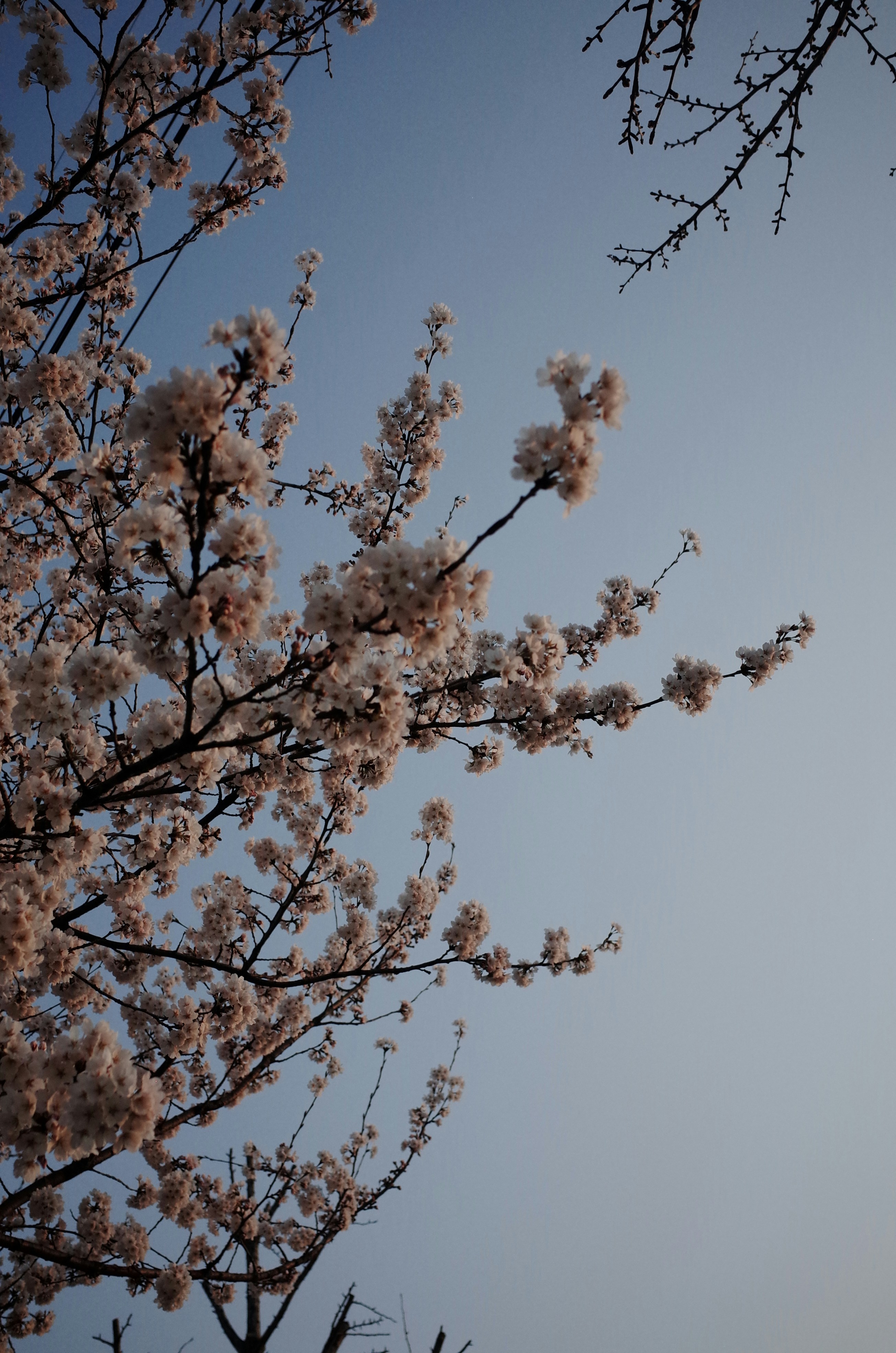 Photo by bikun512