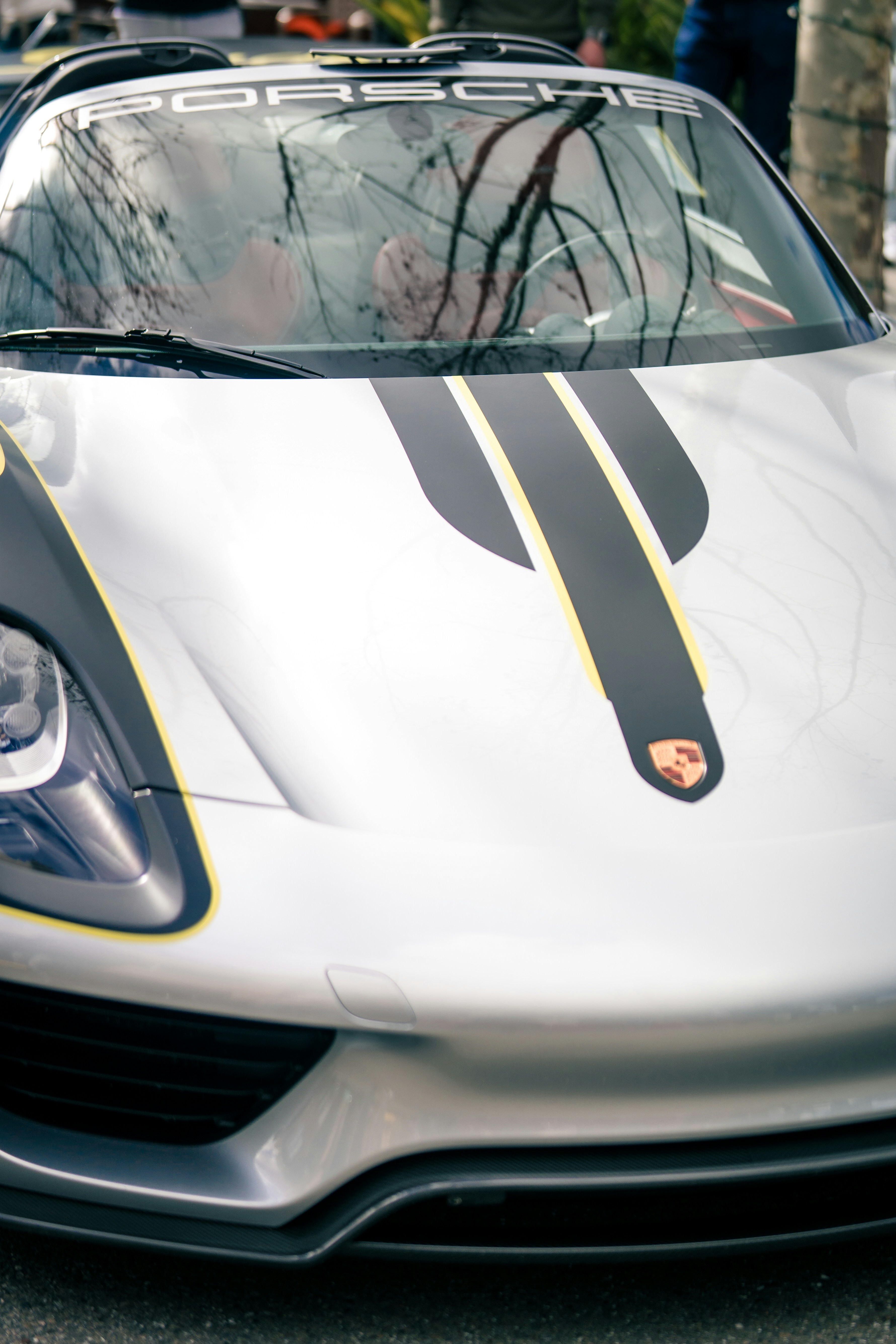 Photo by madeline_sd