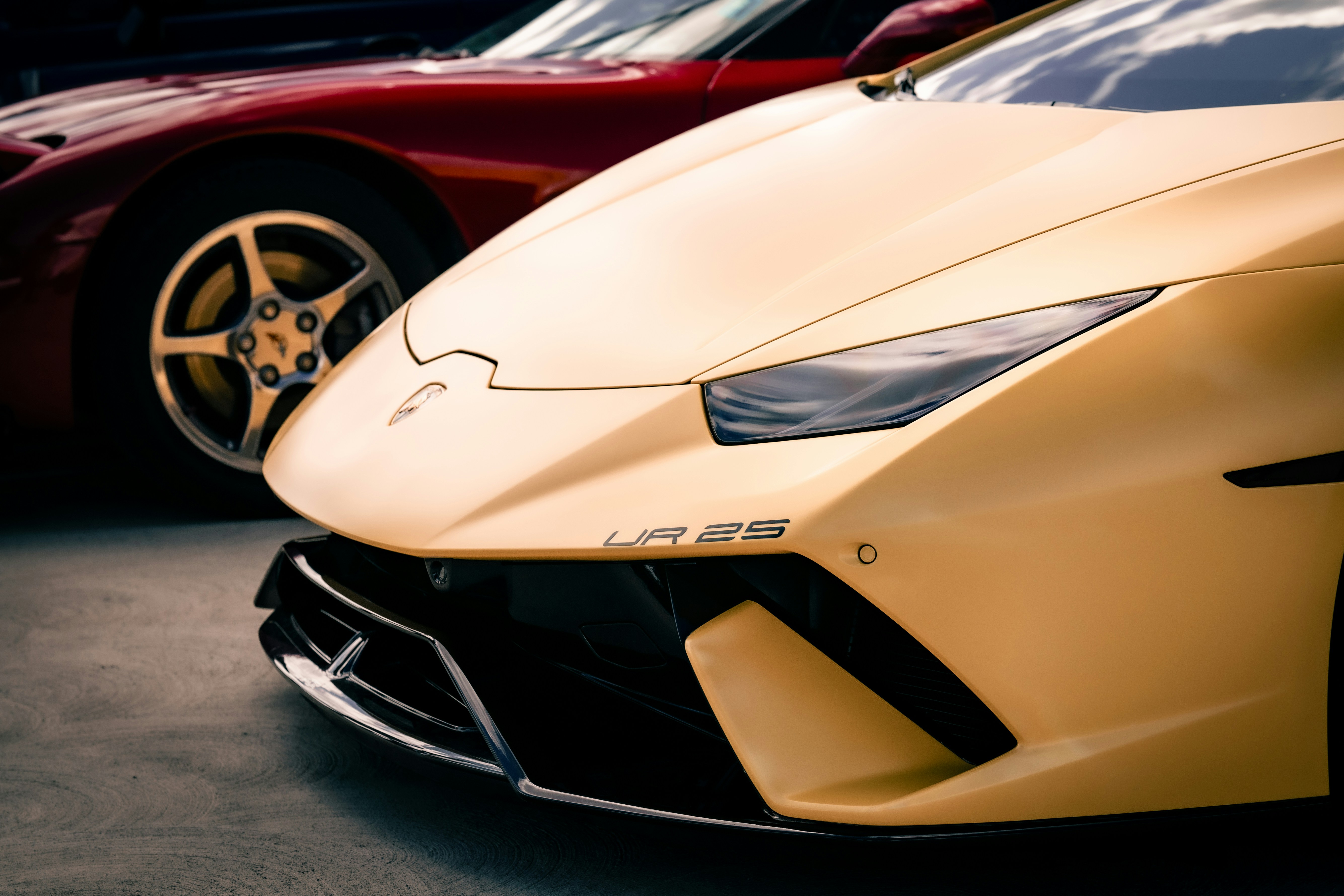 Photo by madeline_sd