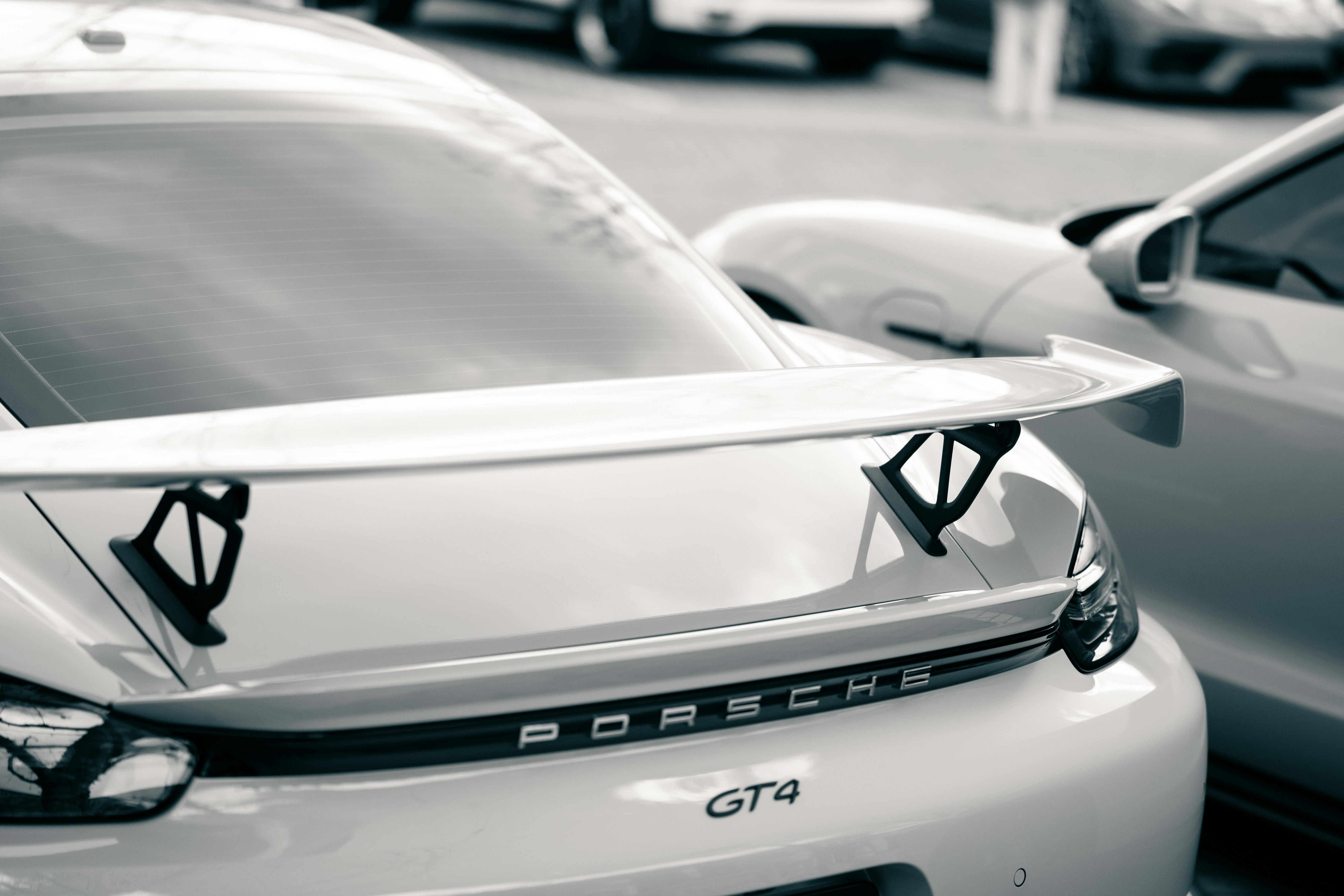 Photo by madeline_sd